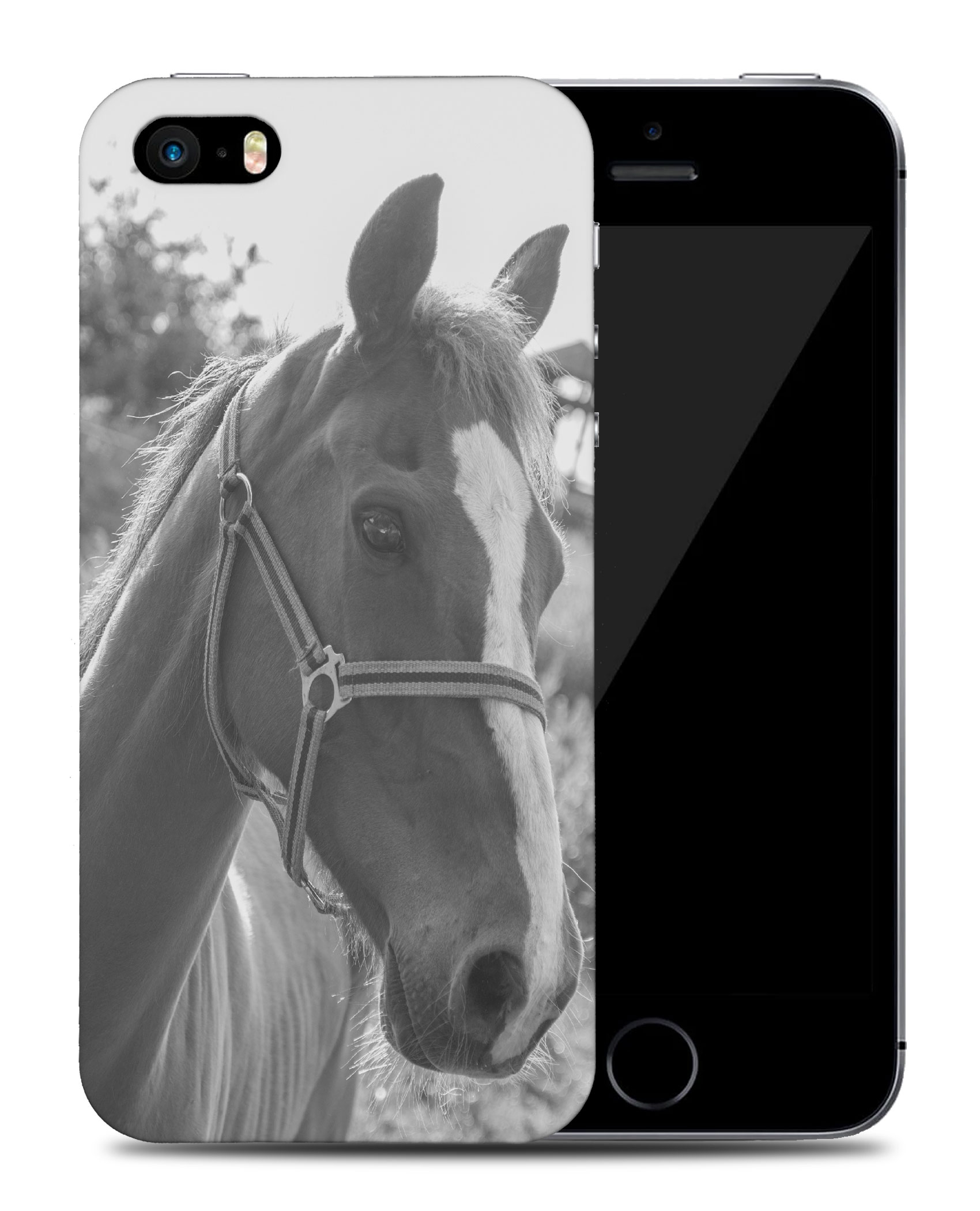 CASE COVER FOR APPLE IPHONE|BEAUTIFUL MAJESTIC HORSE ANIMAL 7 - Bild 38 von 44