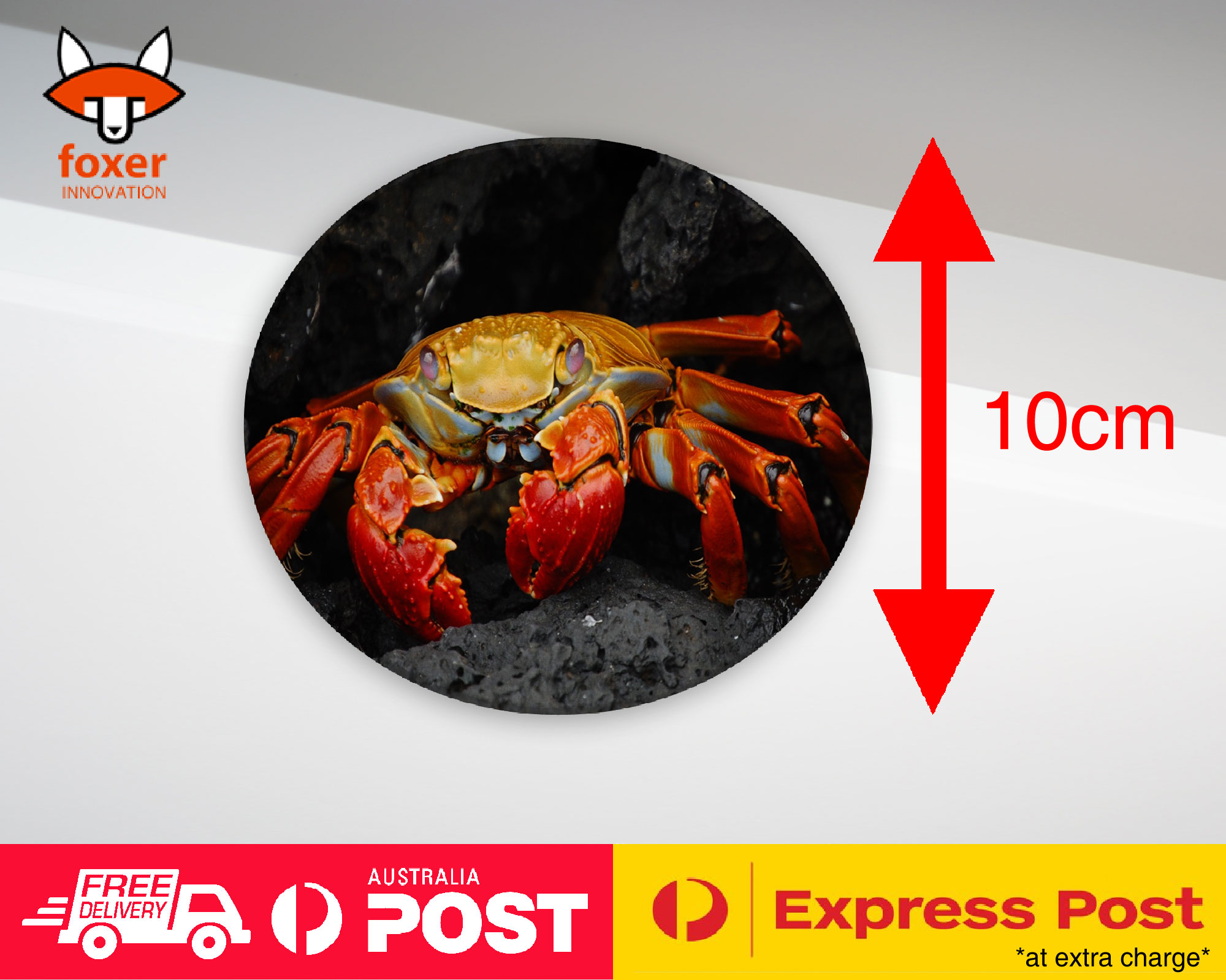 COASTER COFFEE DRINKING MAT|ARUSTACEANS CRAB CREATURE CLAW #1