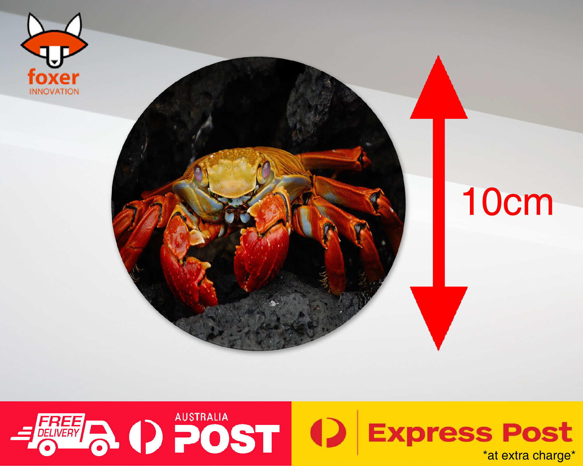 COASTER COFFEE DRINKING MAT|ARUSTACEANS CRAB CREATURE CLAW #1