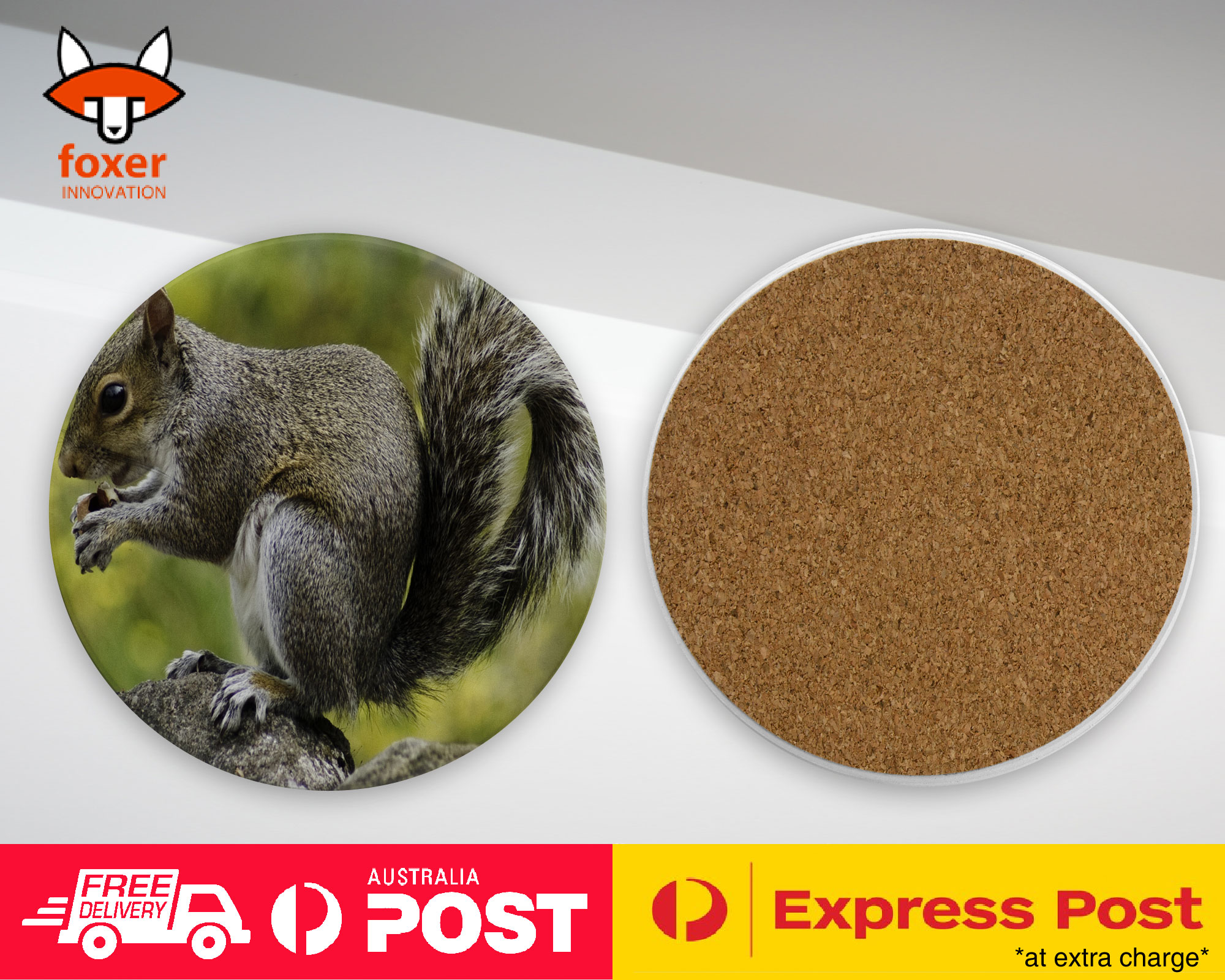 COASTER COFFEE DRINKING MAT|CUTE ADORABLE SQUIRREL RODENT #26
