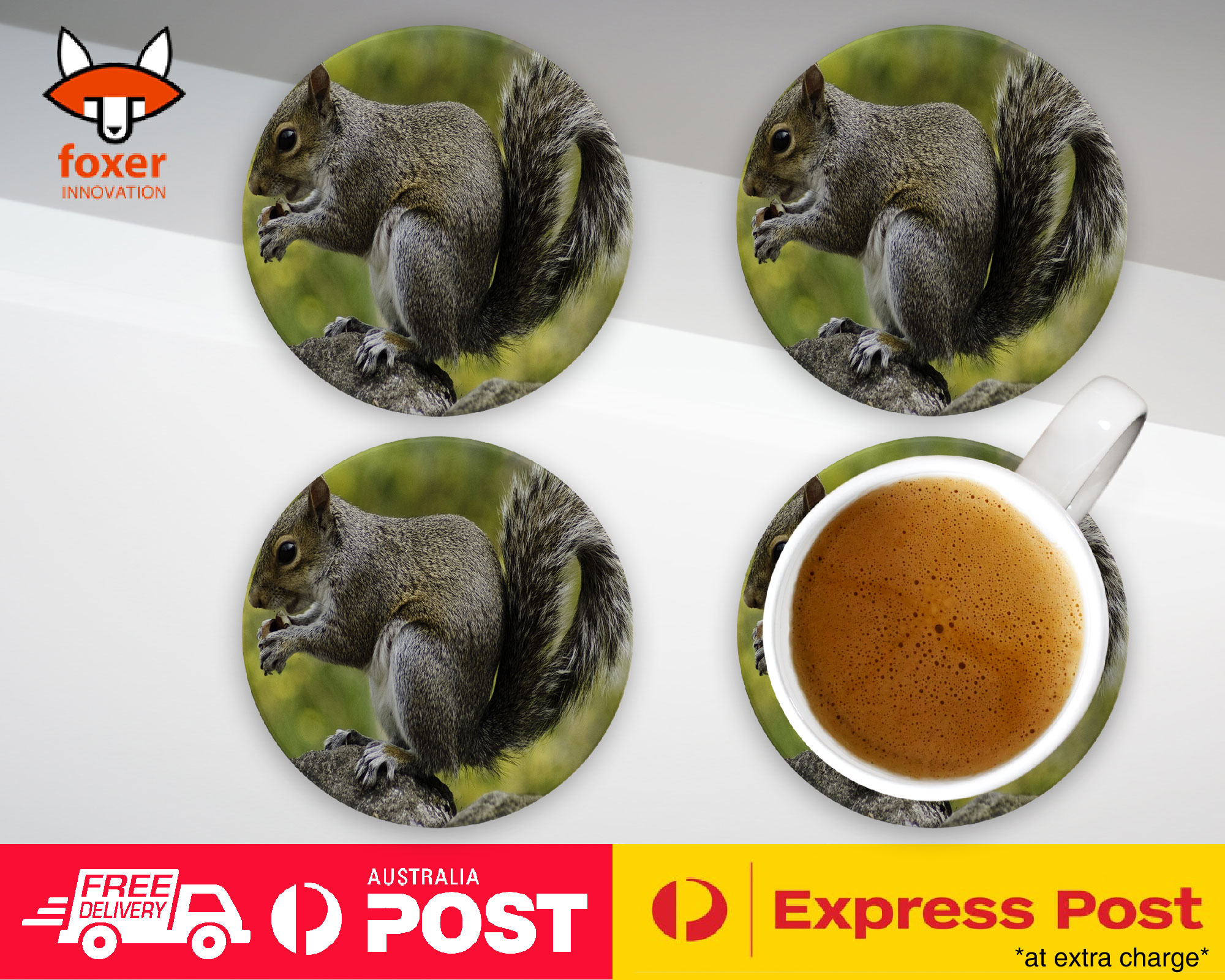 COASTER COFFEE DRINKING MAT|CUTE ADORABLE SQUIRREL RODENT #26
