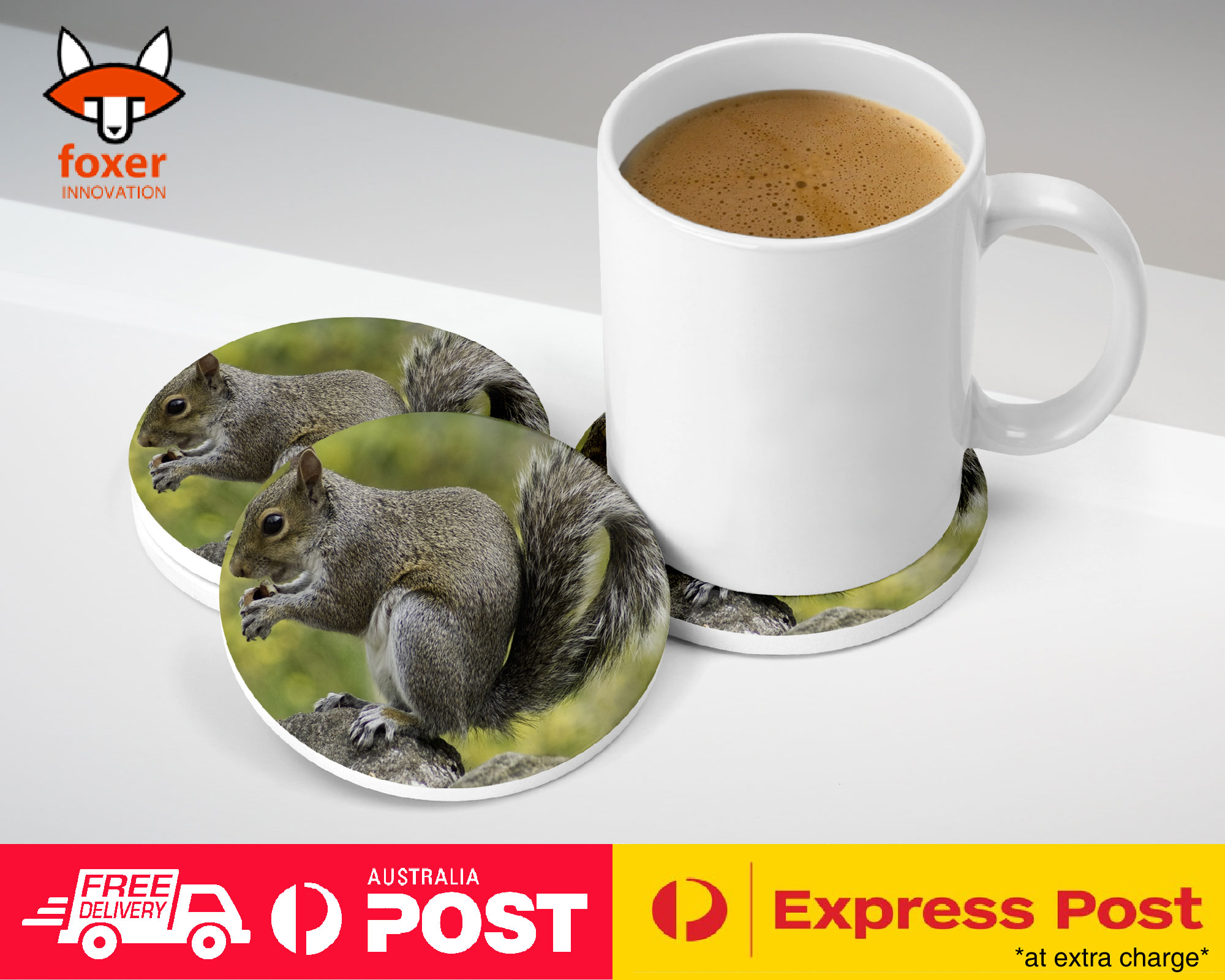 COASTER COFFEE DRINKING MAT|CUTE ADORABLE SQUIRREL RODENT #26