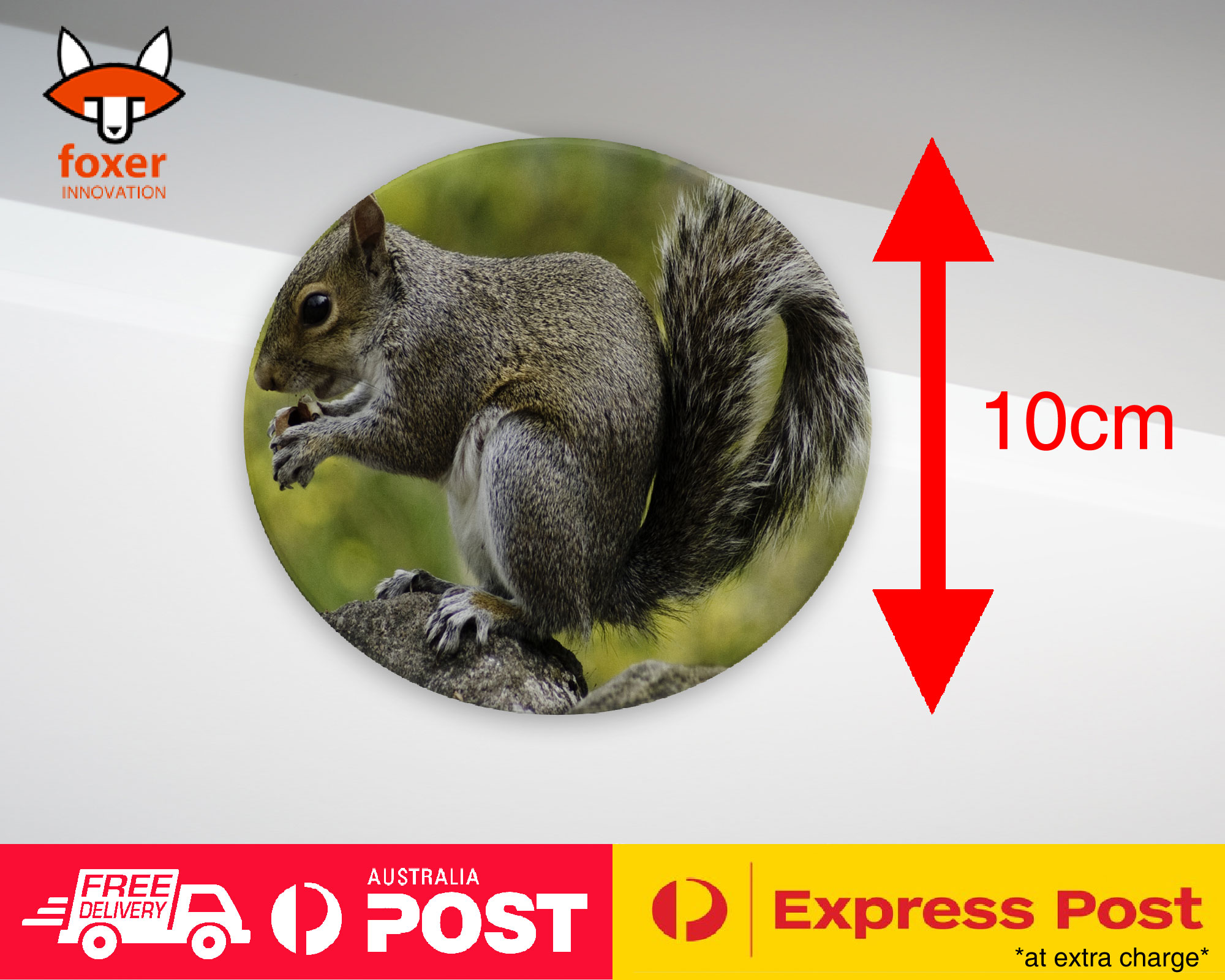 COASTER COFFEE DRINKING MAT|CUTE ADORABLE SQUIRREL RODENT #26