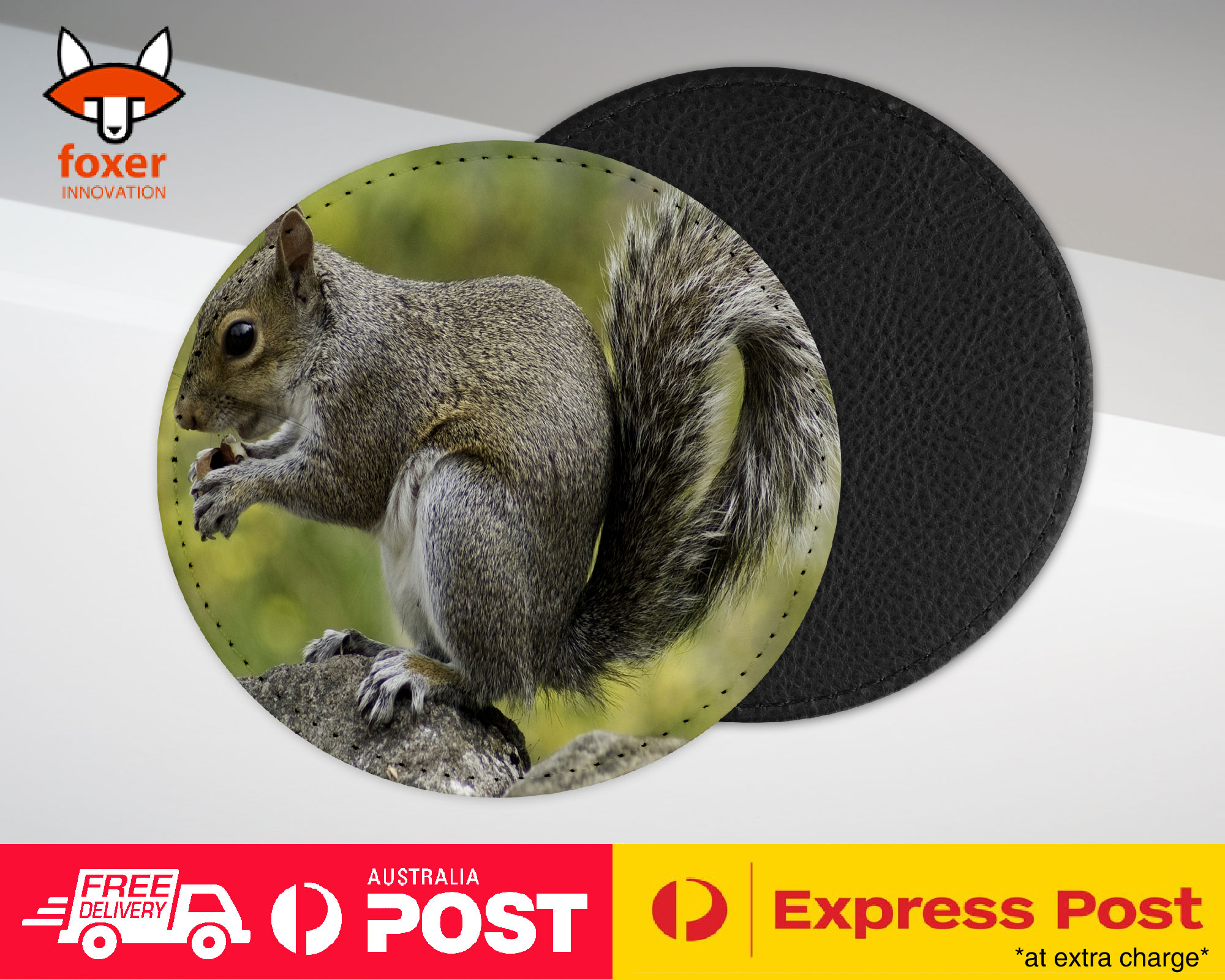 COASTER COFFEE DRINKING MAT|CUTE ADORABLE SQUIRREL RODENT #26