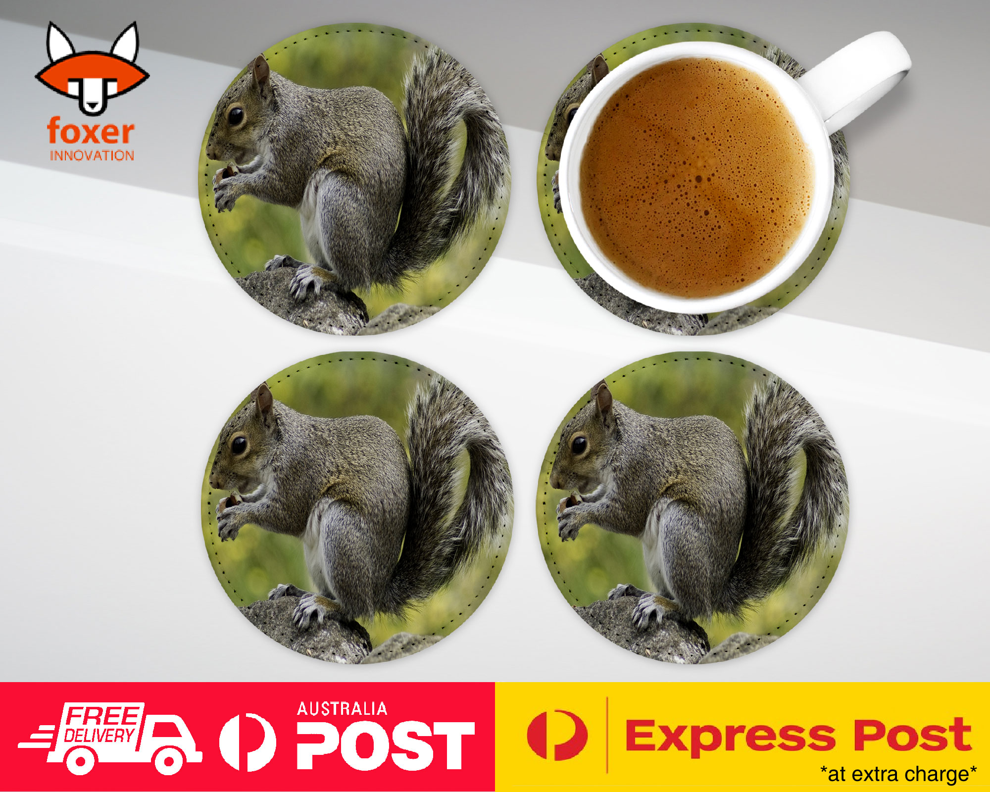 COASTER COFFEE DRINKING MAT|CUTE ADORABLE SQUIRREL RODENT #26