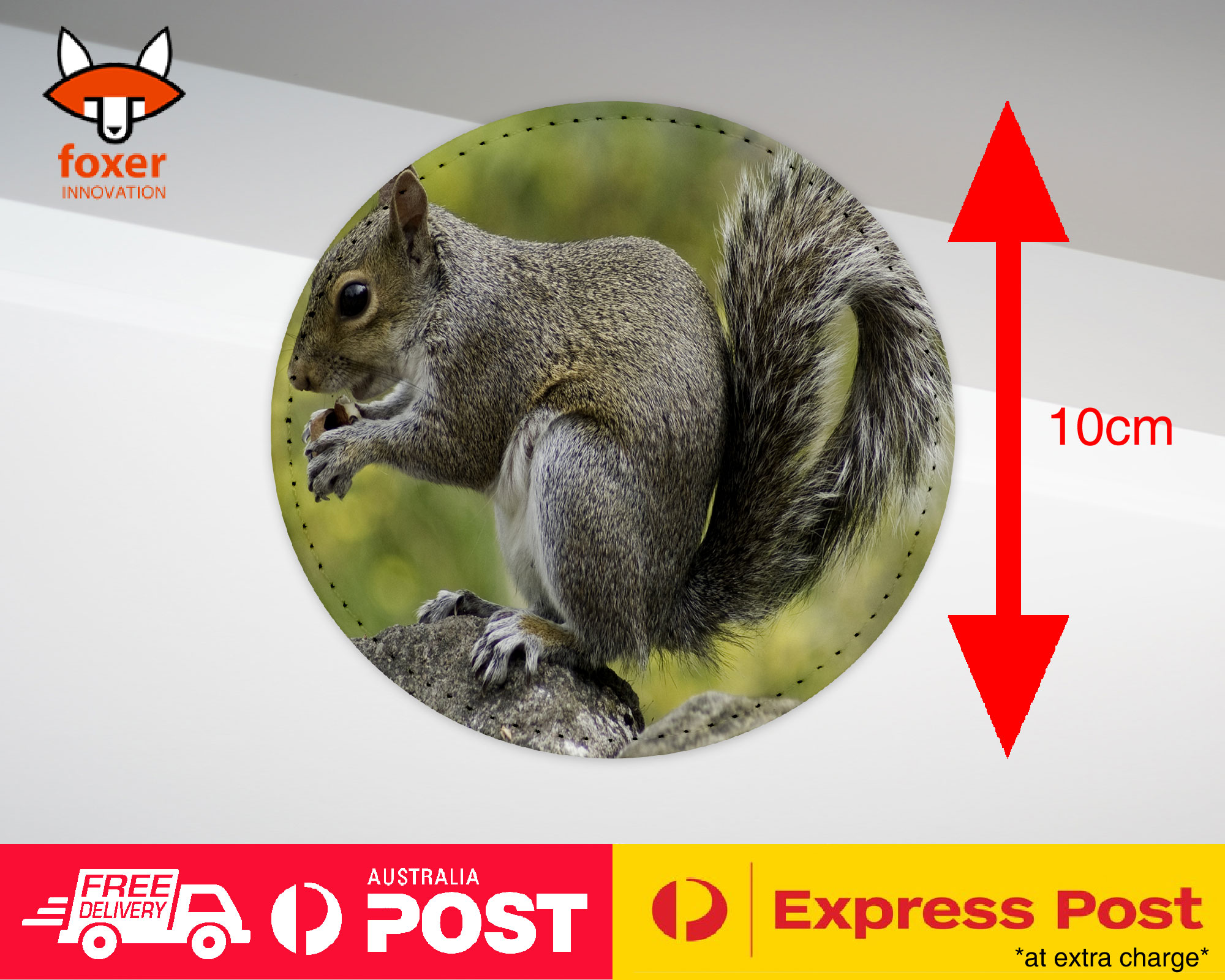 COASTER COFFEE DRINKING MAT|CUTE ADORABLE SQUIRREL RODENT #26