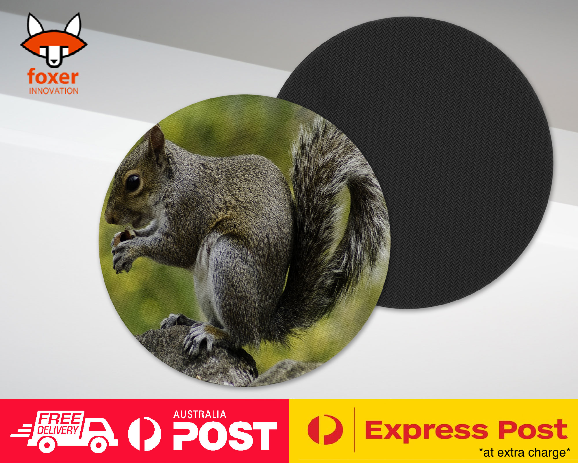 COASTER COFFEE DRINKING MAT|CUTE ADORABLE SQUIRREL RODENT #26