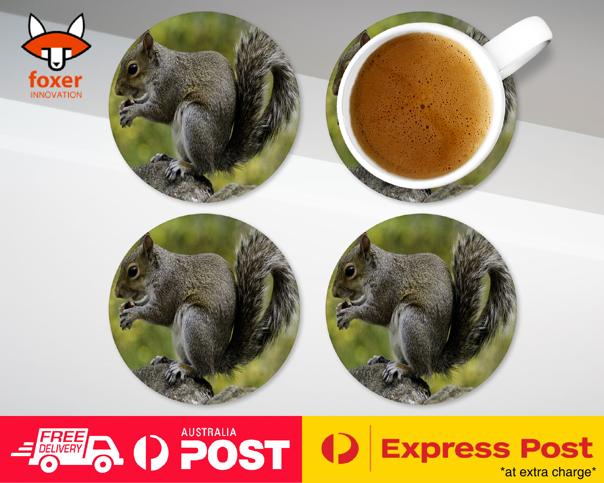 COASTER COFFEE DRINKING MAT|CUTE ADORABLE SQUIRREL RODENT #26