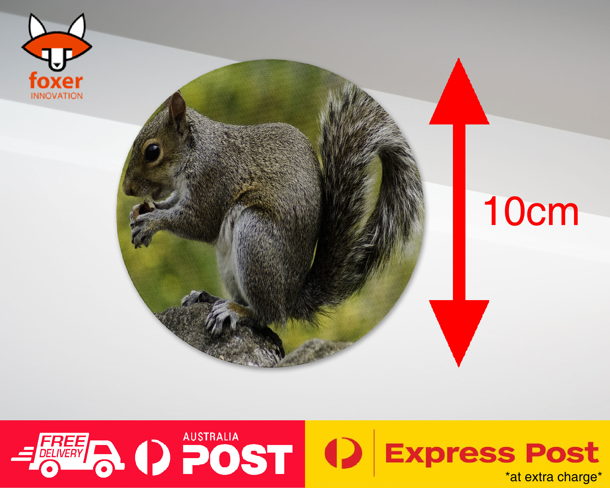 COASTER COFFEE DRINKING MAT|CUTE ADORABLE SQUIRREL RODENT #26