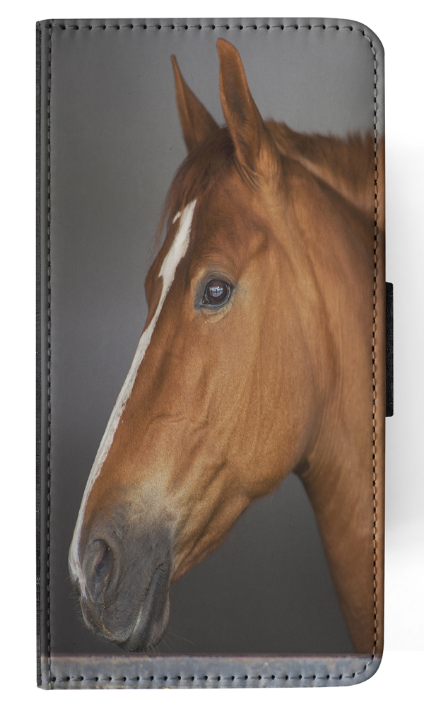 FLIP CASE FOR APPLE IPHONE|BEAUTIFUL MAJESTIC HORSE ANIMAL 8 - Foto 110 di 193