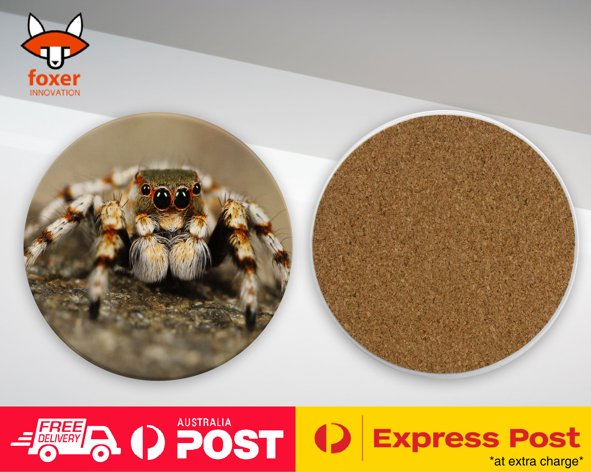 COASTER COFFEE DRINKING MAT|CREEPY INSECT SPIDER ARTHROPODS 2
