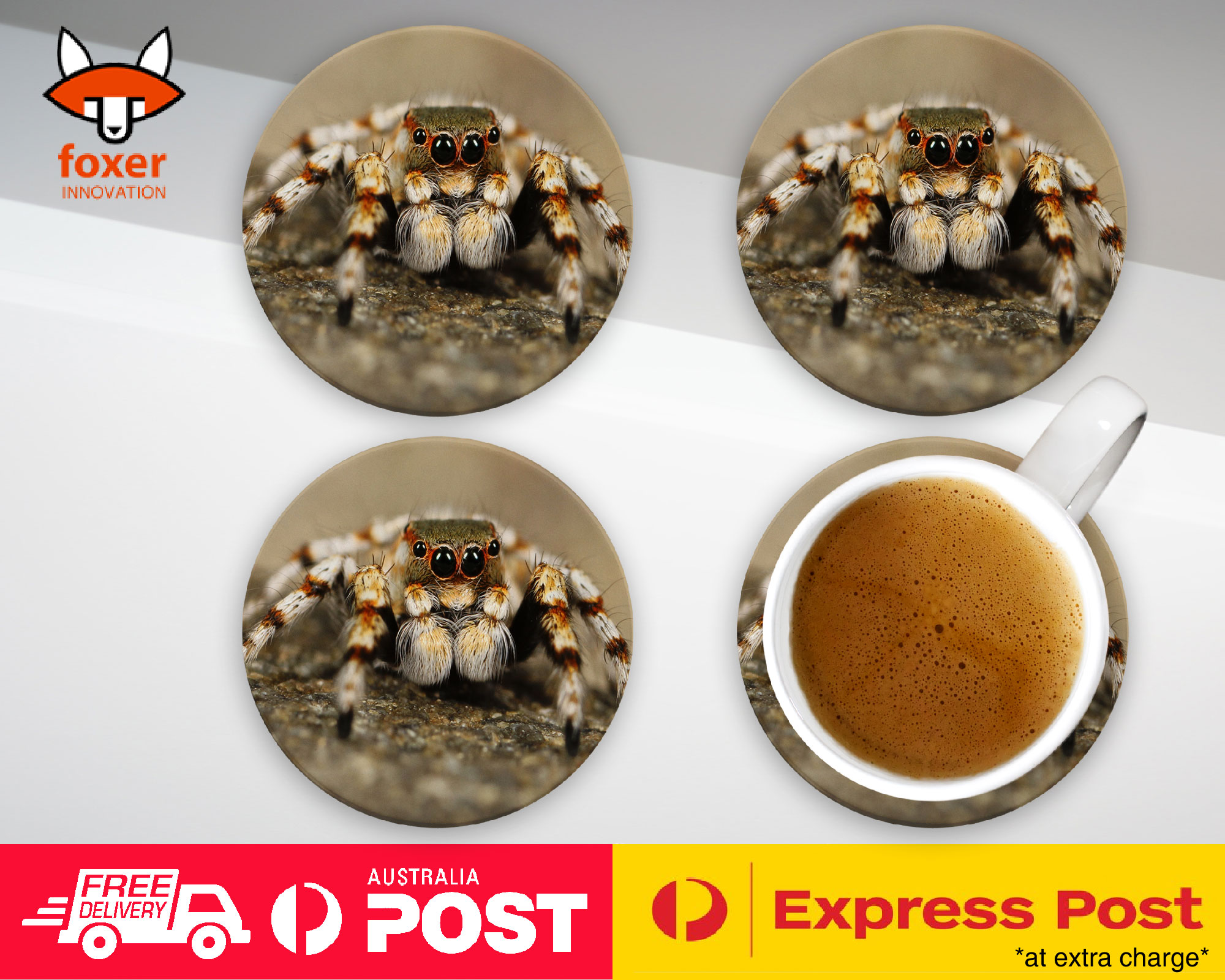 COASTER COFFEE DRINKING MAT|CREEPY INSECT SPIDER ARTHROPODS 2