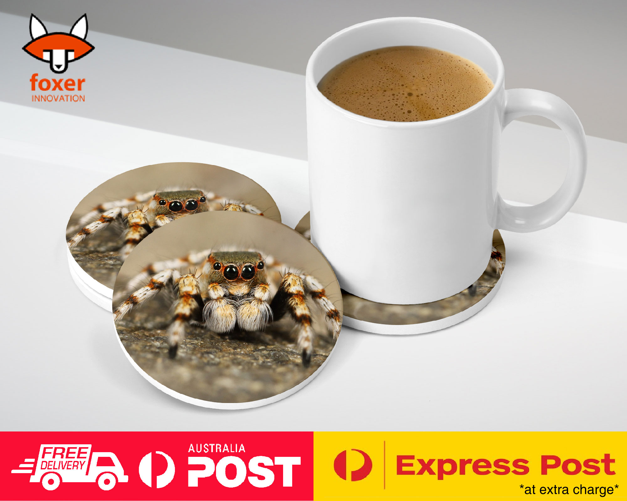 COASTER COFFEE DRINKING MAT|CREEPY INSECT SPIDER ARTHROPODS 2