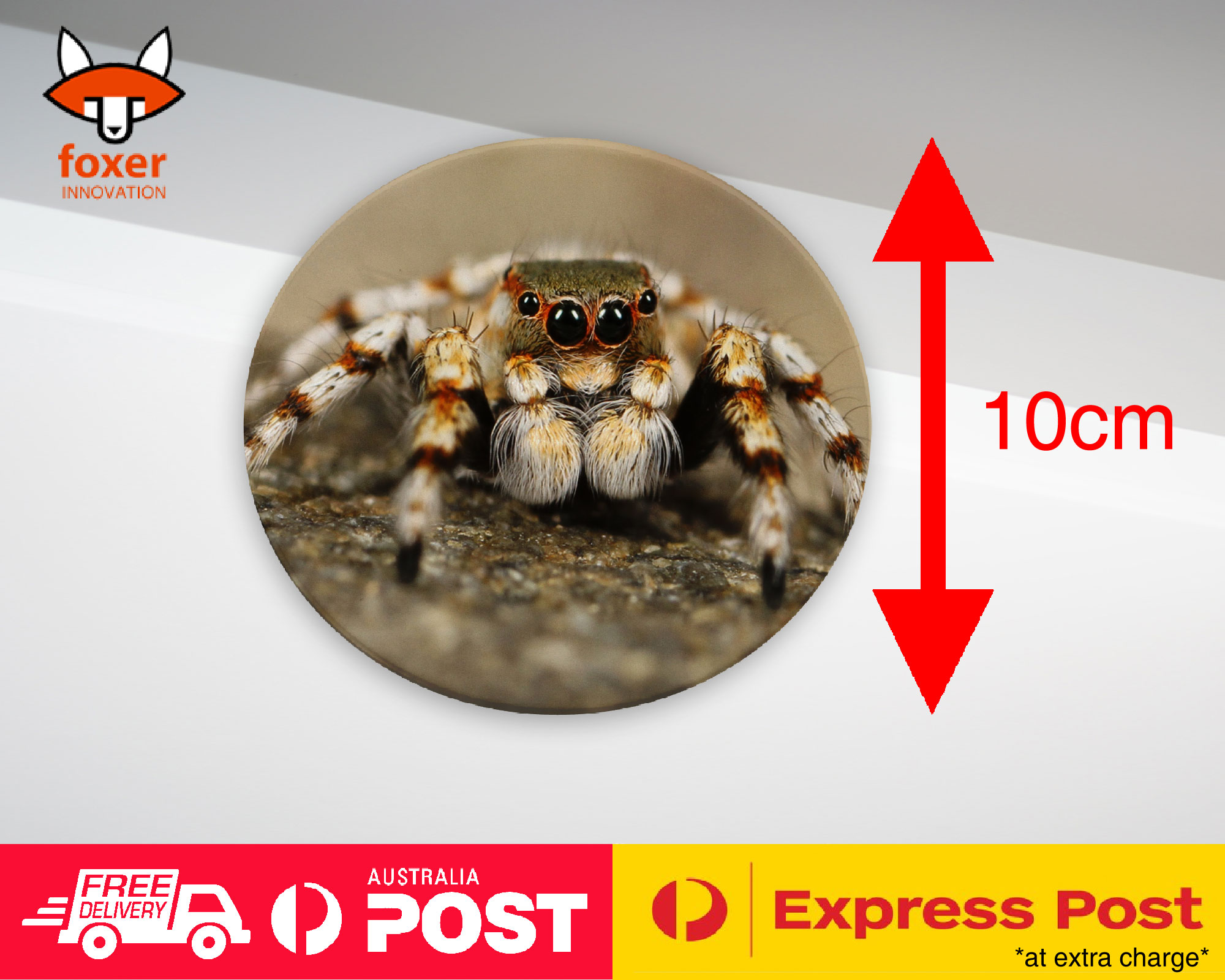 COASTER COFFEE DRINKING MAT|CREEPY INSECT SPIDER ARTHROPODS 2