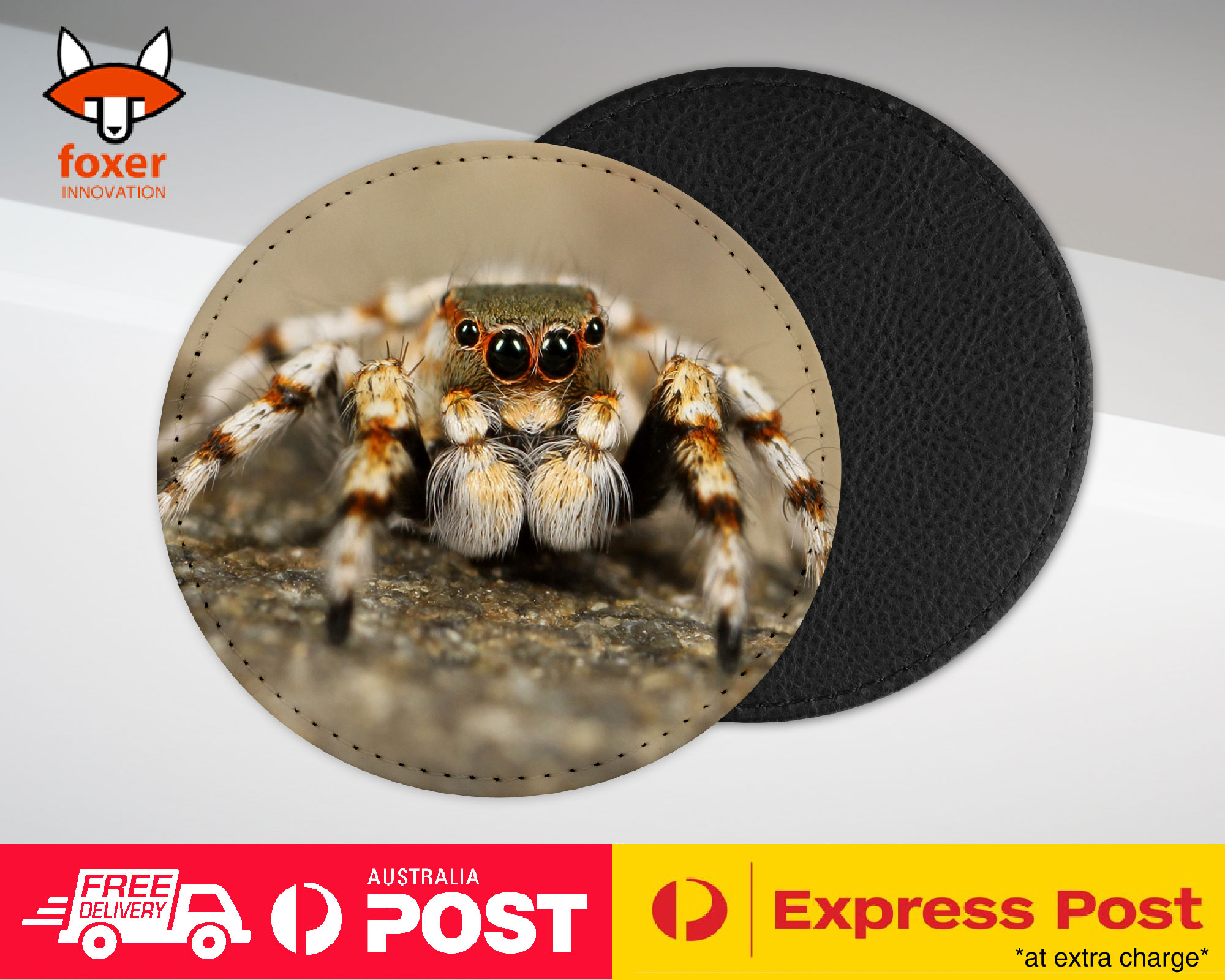 COASTER COFFEE DRINKING MAT|CREEPY INSECT SPIDER ARTHROPODS 2