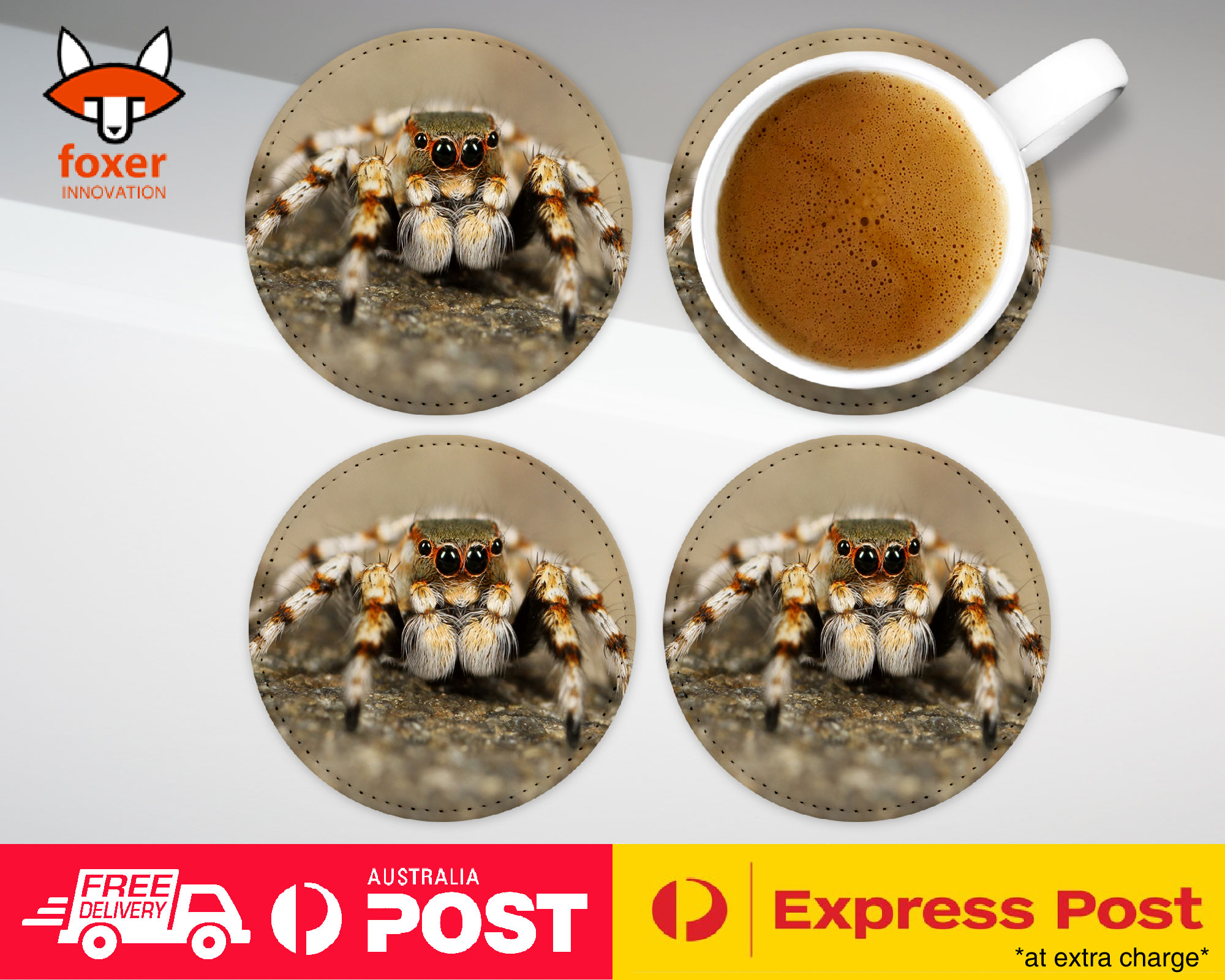 COASTER COFFEE DRINKING MAT|CREEPY INSECT SPIDER ARTHROPODS 2