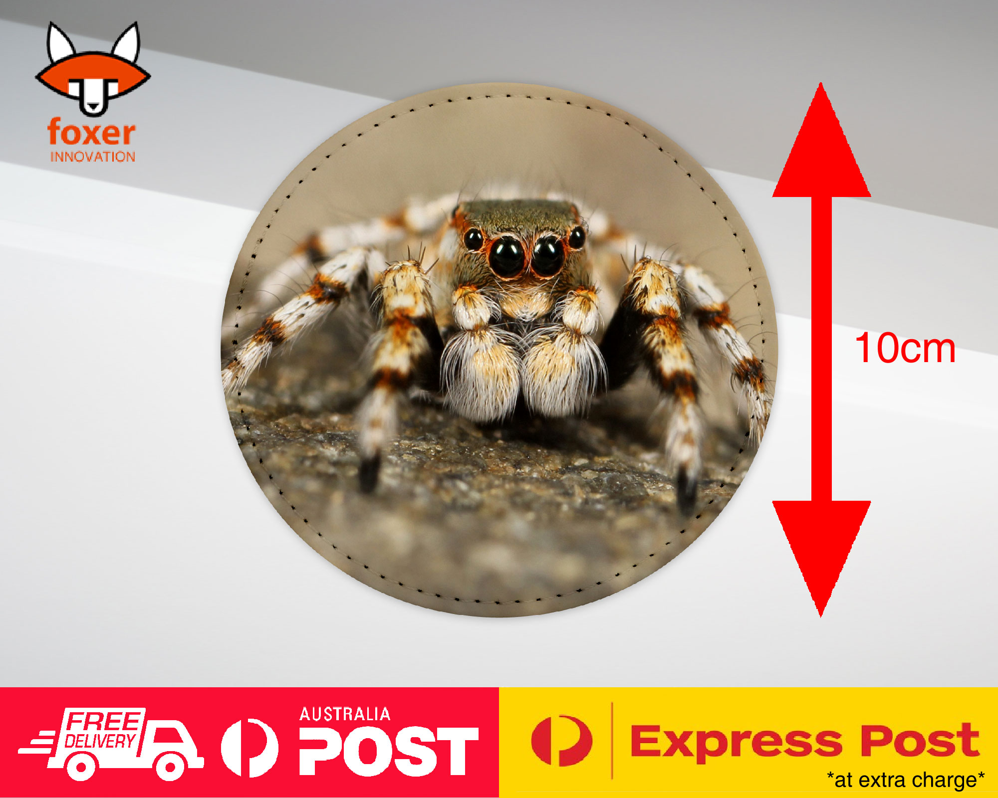 COASTER COFFEE DRINKING MAT|CREEPY INSECT SPIDER ARTHROPODS 2