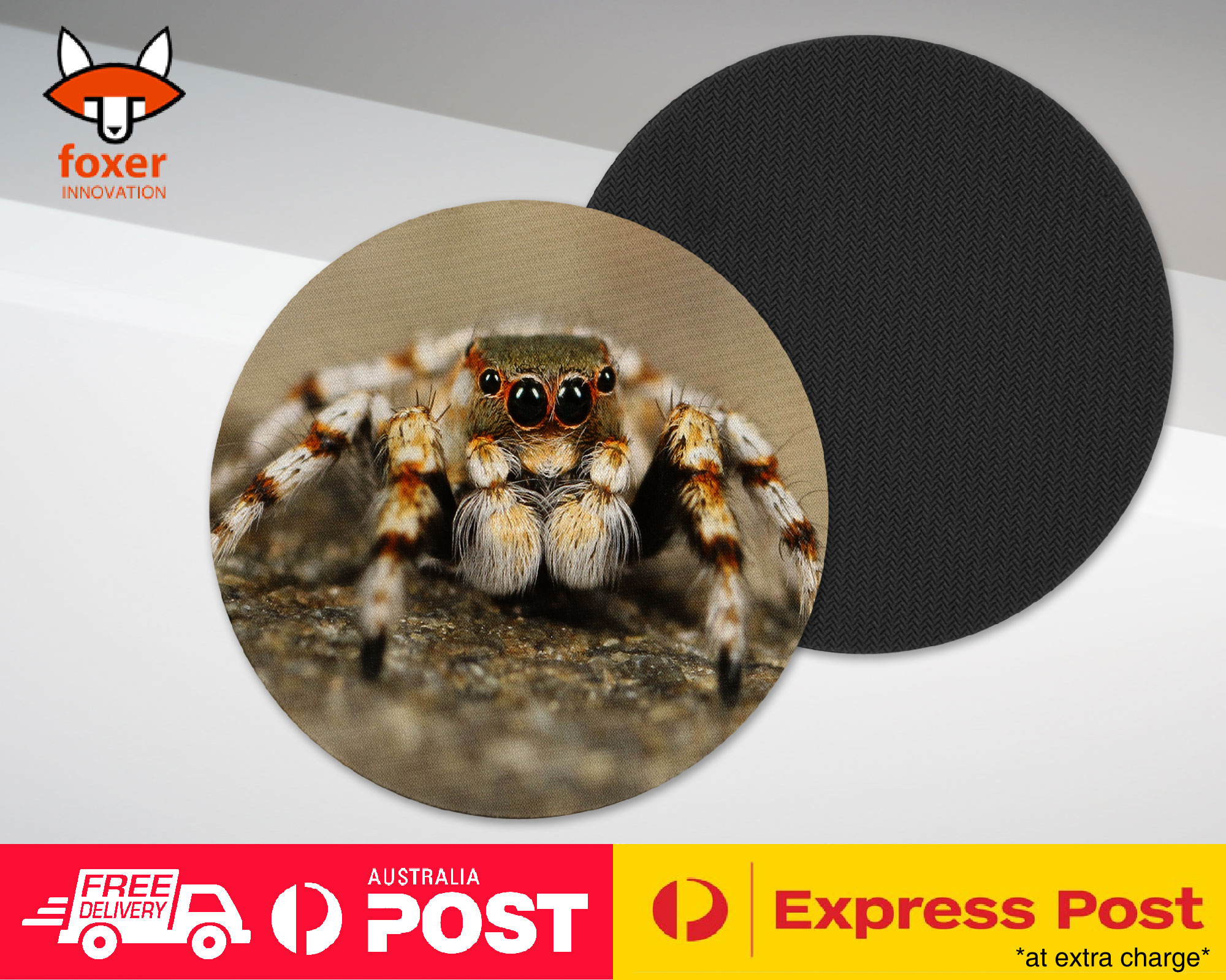COASTER COFFEE DRINKING MAT|CREEPY INSECT SPIDER ARTHROPODS 2