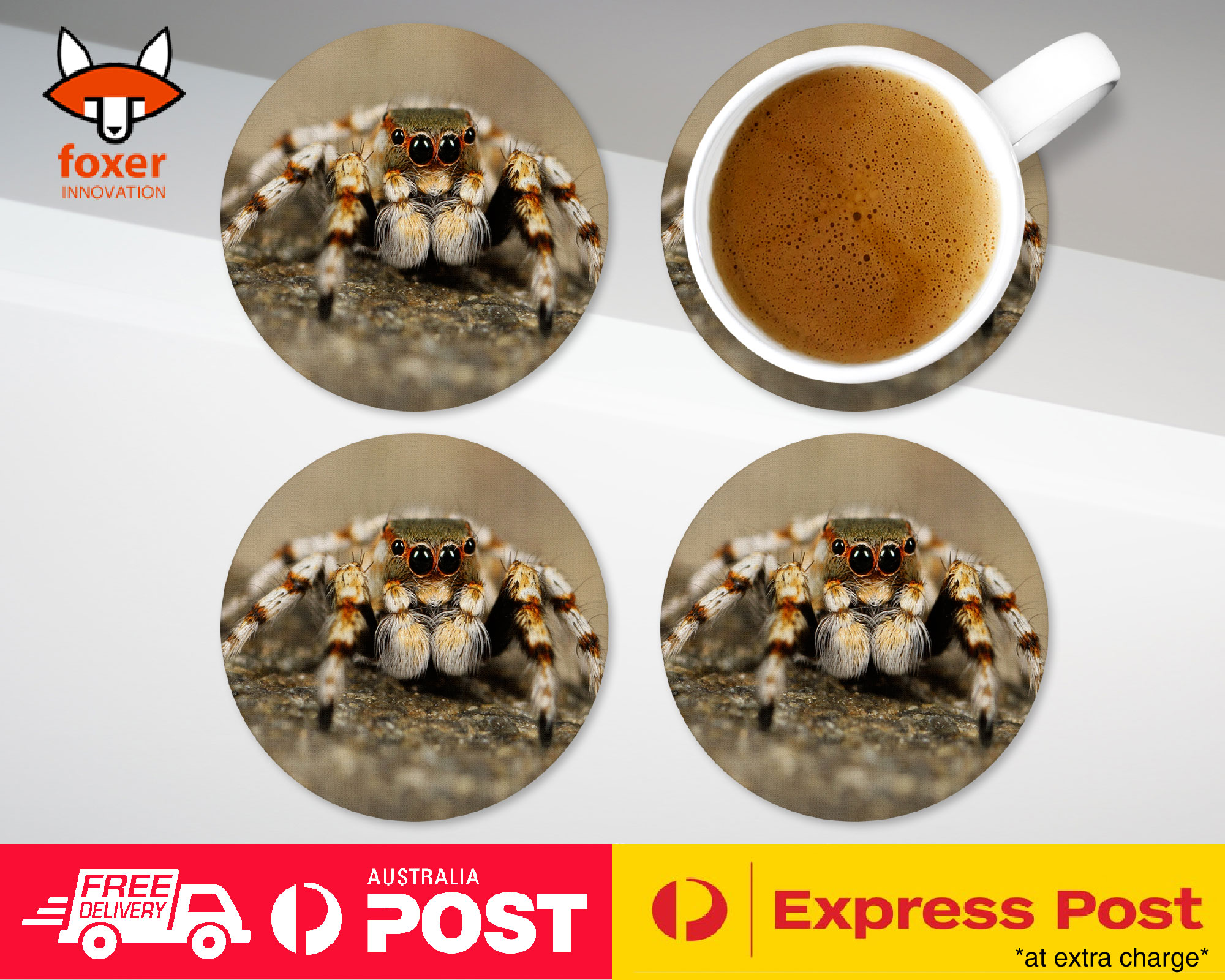 COASTER COFFEE DRINKING MAT|CREEPY INSECT SPIDER ARTHROPODS 2