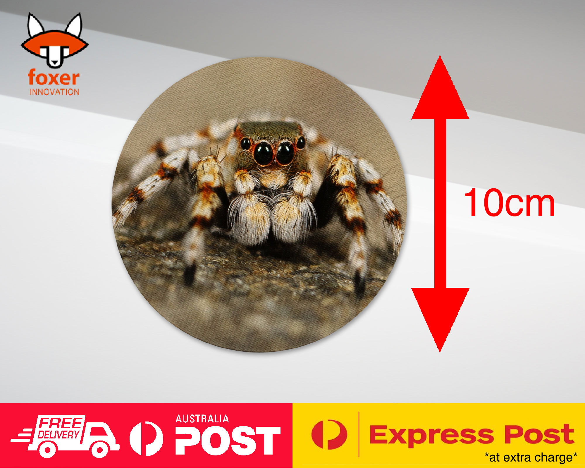 COASTER COFFEE DRINKING MAT|CREEPY INSECT SPIDER ARTHROPODS 2