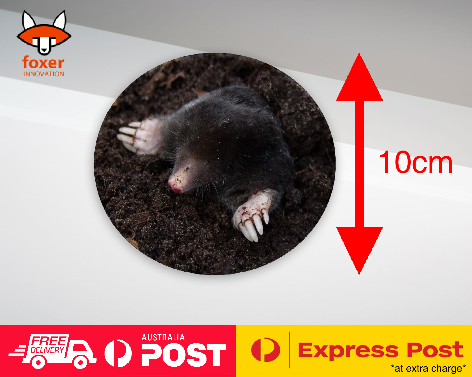 COASTER COFFEE DRINKING MAT|SUBTERRANEAN MOLE MAMMAL ANIMAL