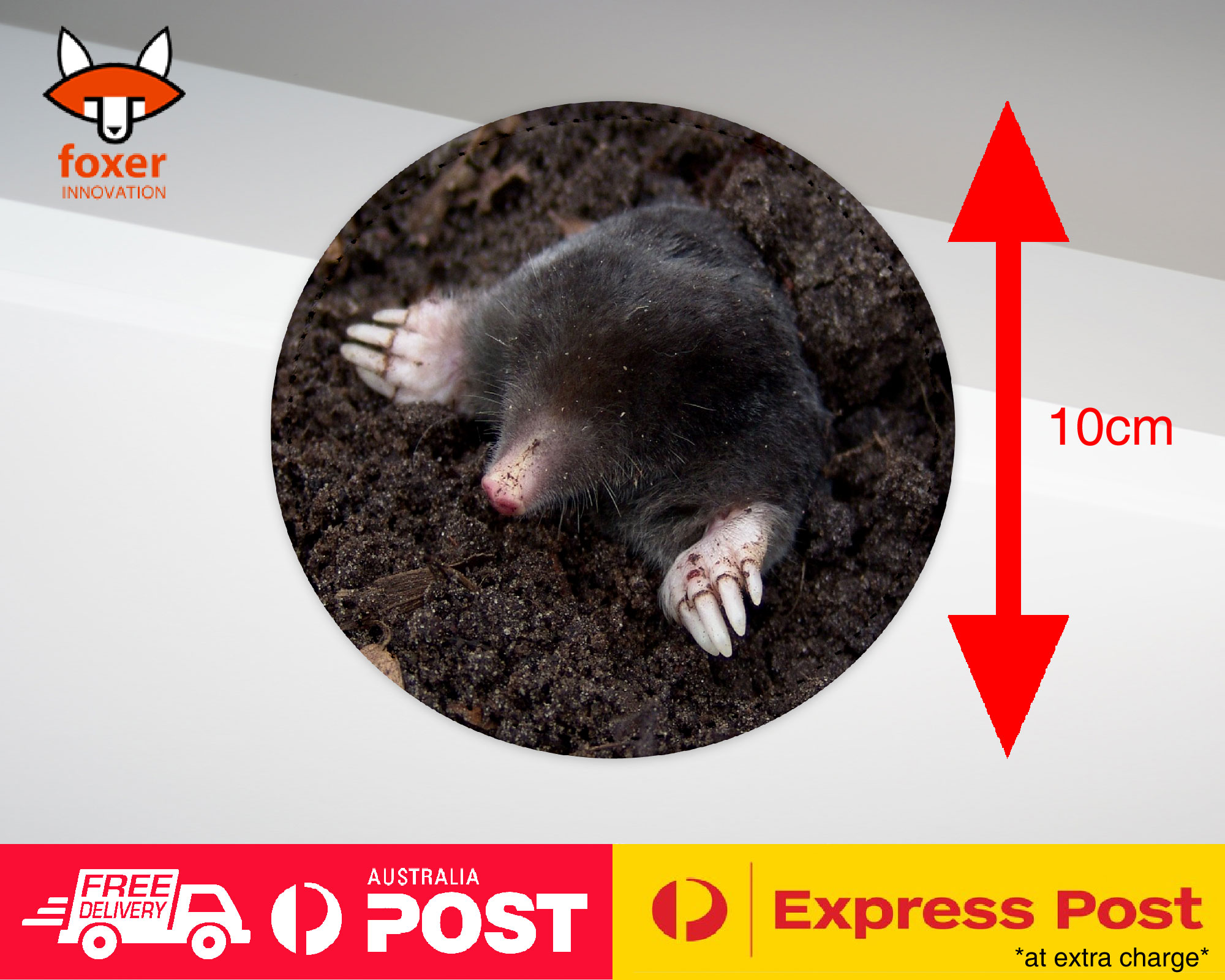 COASTER COFFEE DRINKING MAT|SUBTERRANEAN MOLE MAMMAL ANIMAL