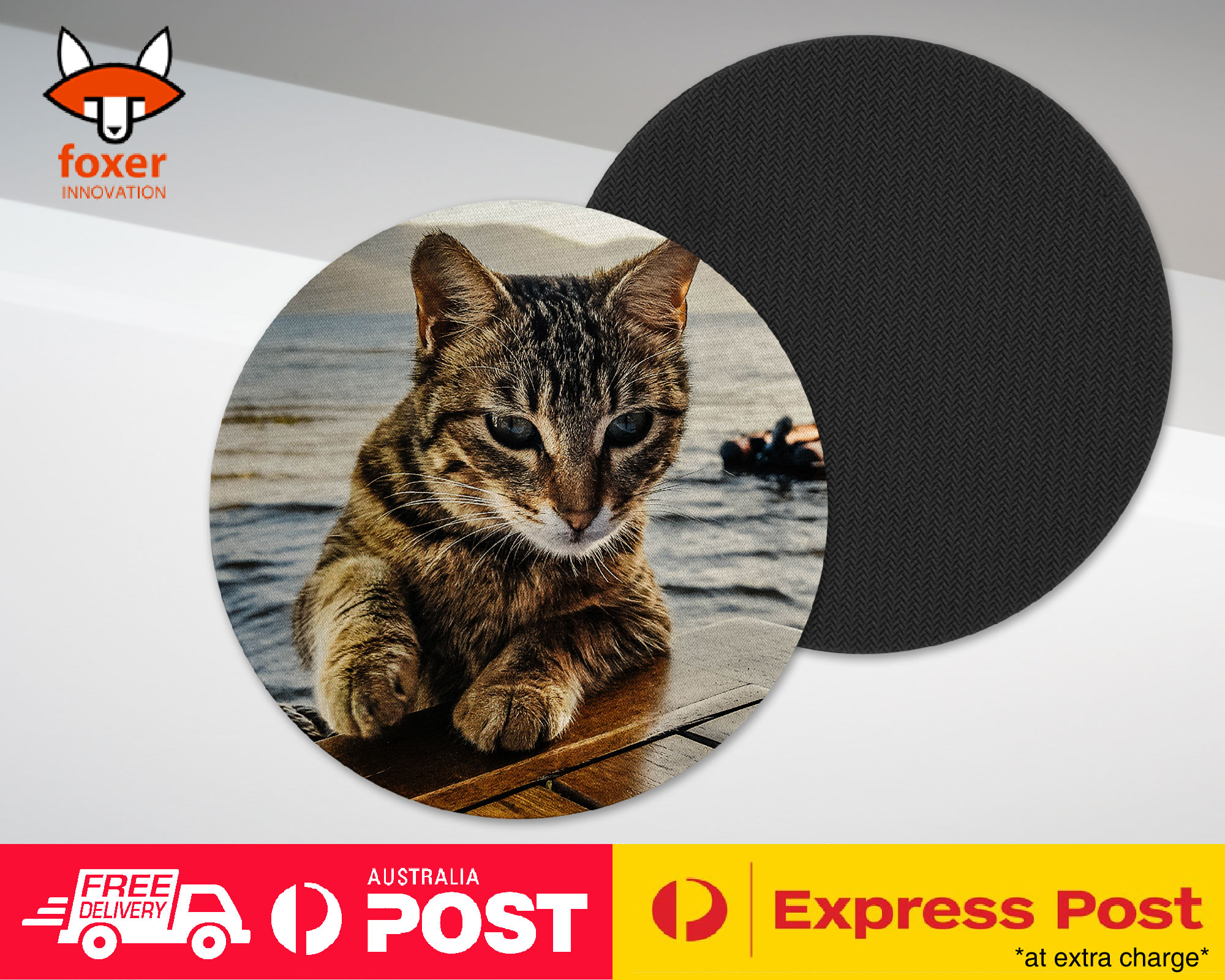COASTER COFFEE DRINKING MAT|ADORABLE CAT KITTEN FELINE #106