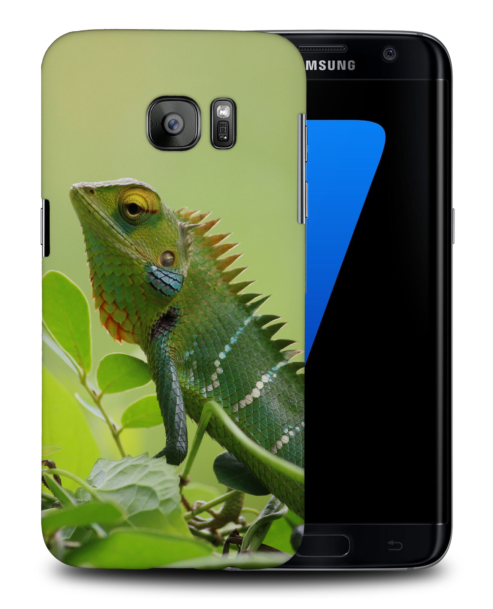 CASE COVER FOR SAMSUNG GALAXY|LIZARD REPTILE CHAMELEON #17 - Picture 24 of 25