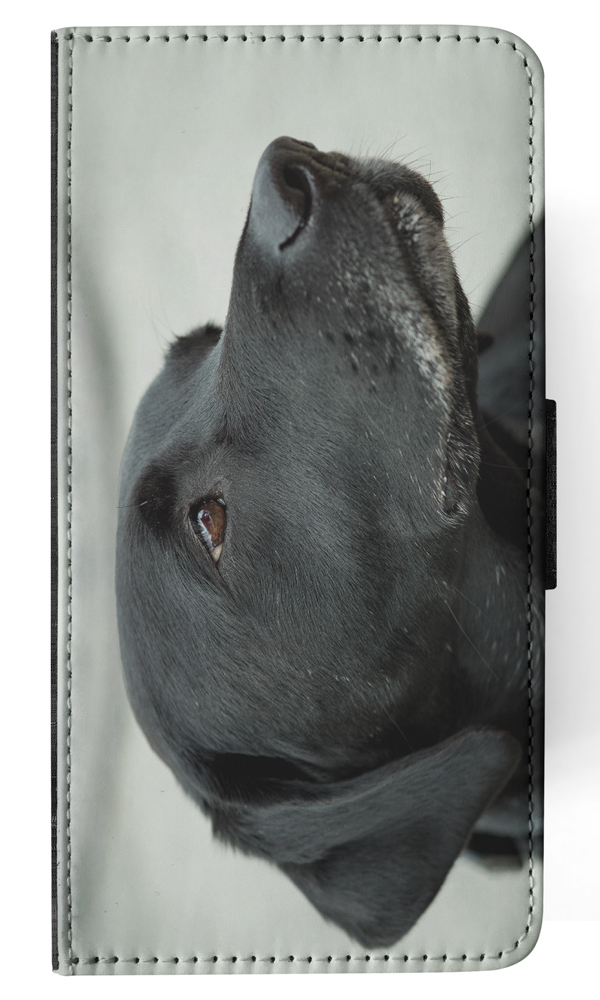 FLIP CASE FOR APPLE IPHONE|CUTE ADORABLE LABRADOR DOG #21 - Picture 95 of 193