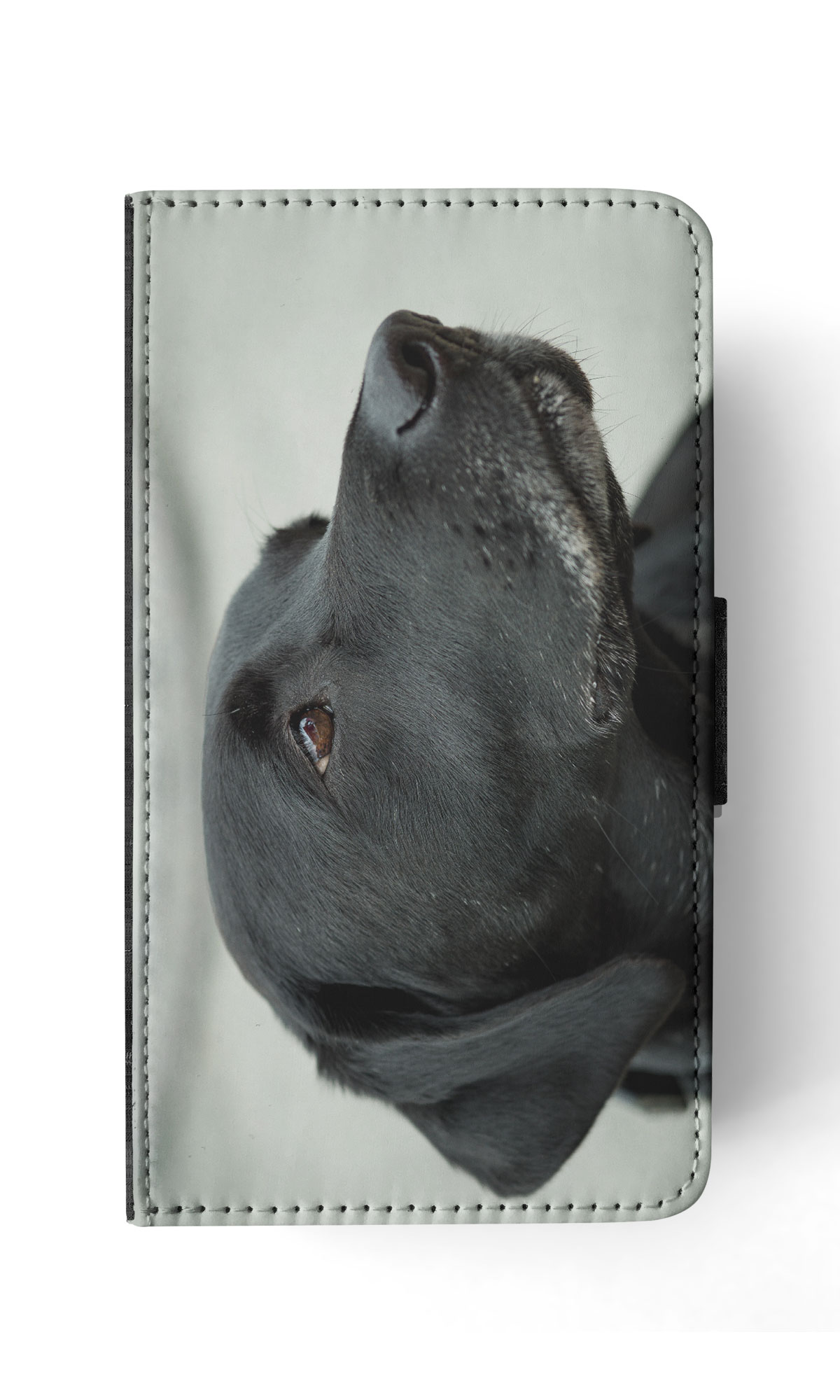FLIP CASE FOR APPLE IPHONE|CUTE ADORABLE LABRADOR DOG #21 - Picture 170 of 193