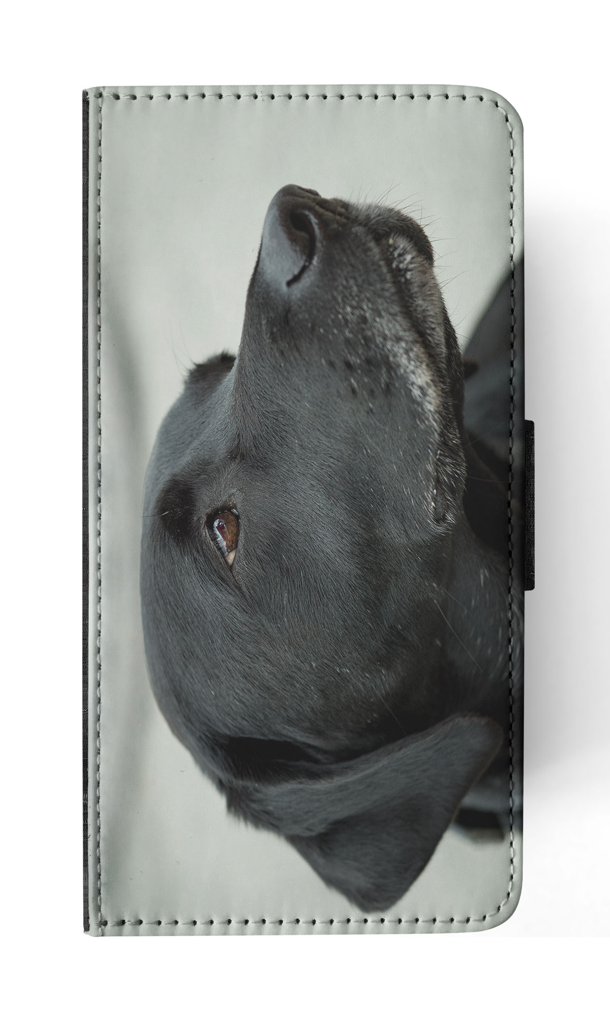 FLIP CASE FOR APPLE IPHONE|CUTE ADORABLE LABRADOR DOG #21 - Picture 52 of 193