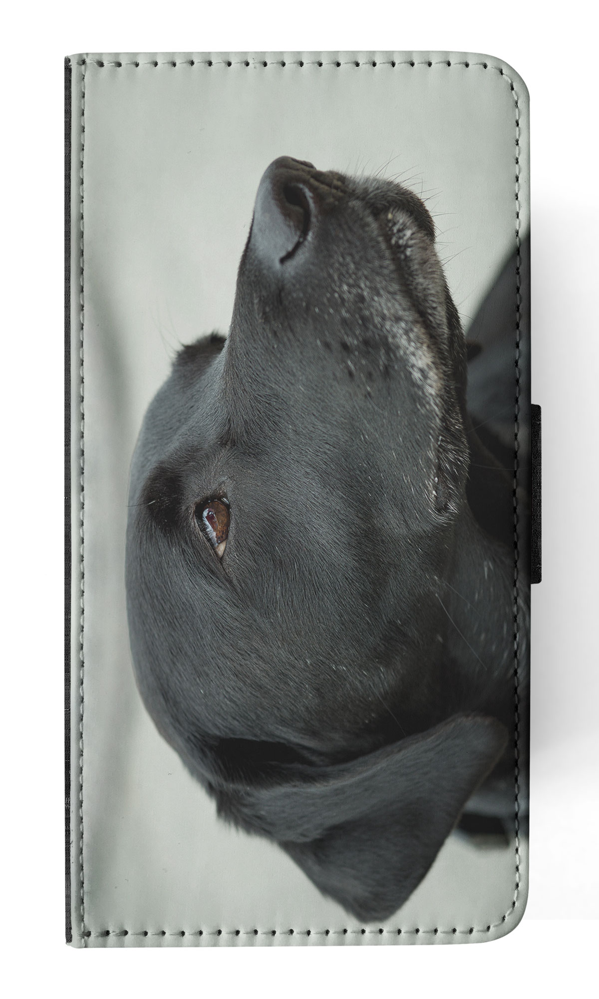 FLIP CASE FOR APPLE IPHONE|CUTE ADORABLE LABRADOR DOG #21 - Picture 47 of 193