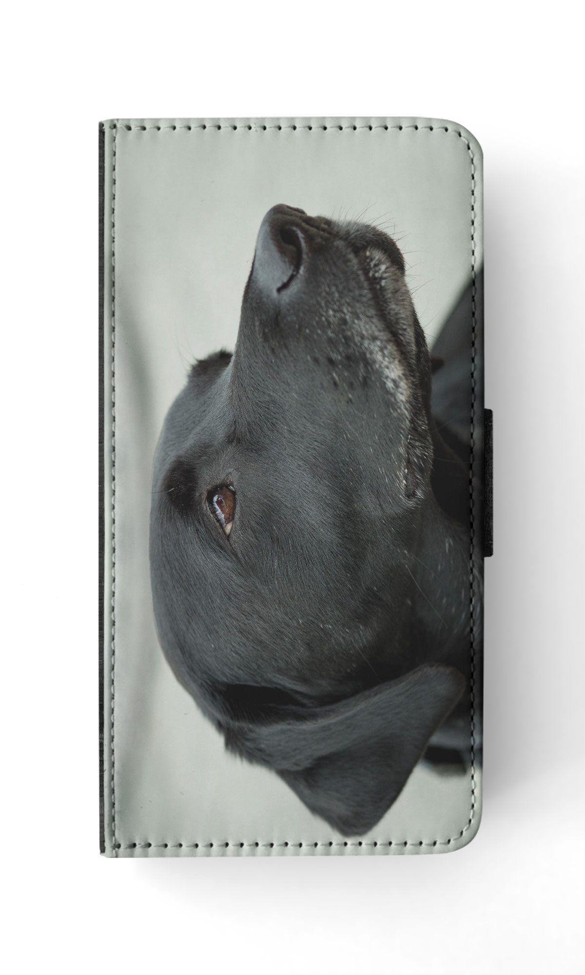 FLIP CASE FOR APPLE IPHONE|CUTE ADORABLE LABRADOR DOG #21 - Picture 42 of 193