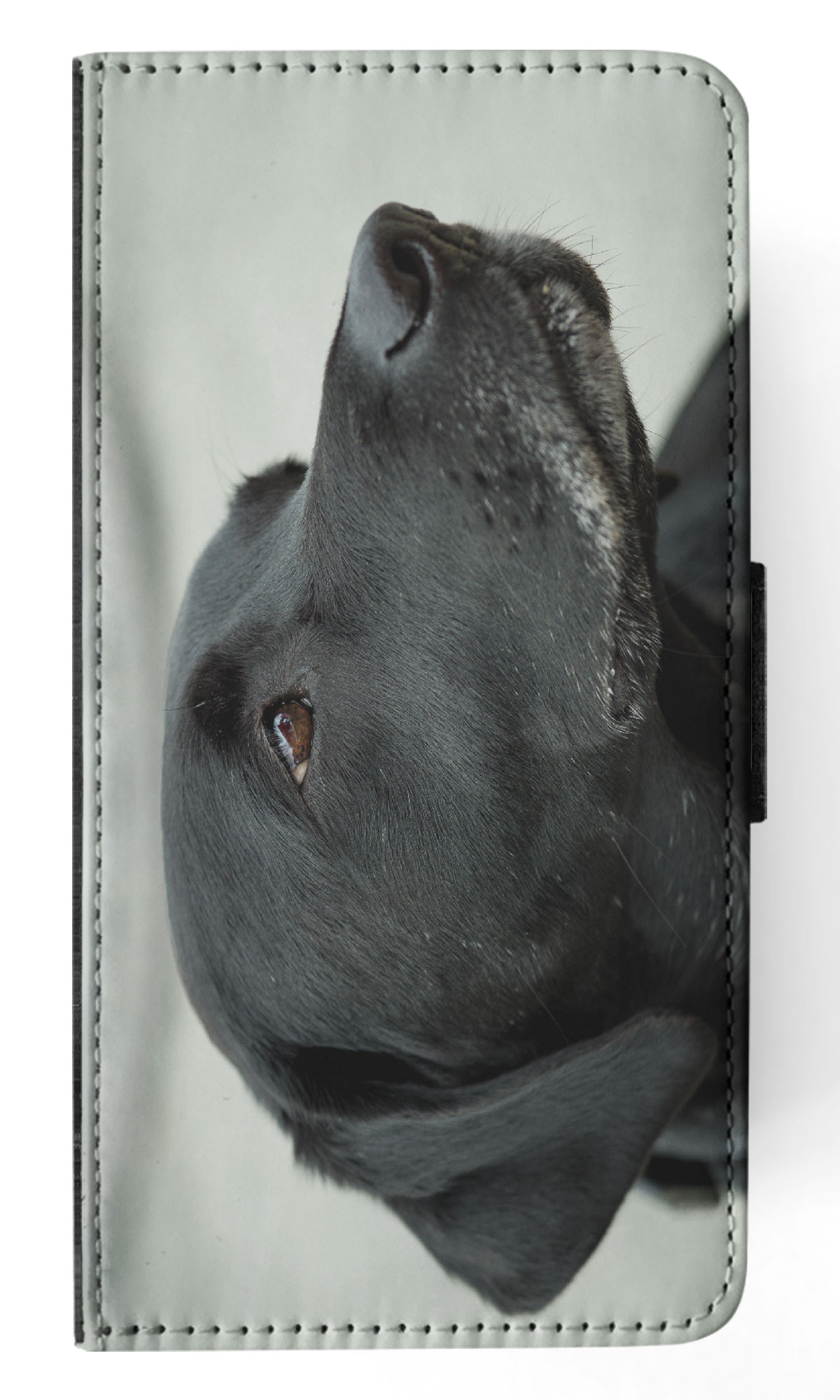 FLIP CASE FOR APPLE IPHONE|CUTE ADORABLE LABRADOR DOG #21 - Picture 37 of 193