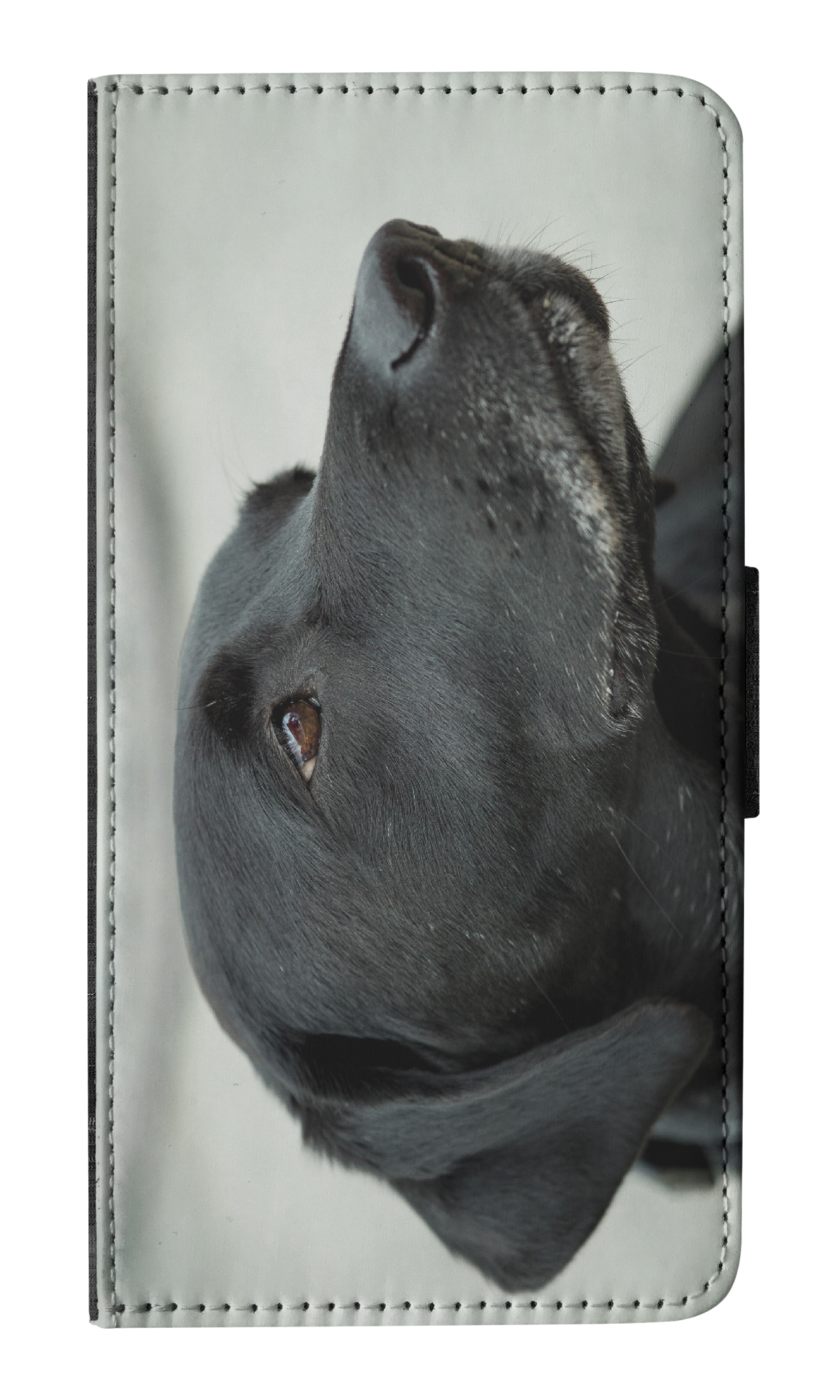 FLIP CASE FOR APPLE IPHONE|CUTE ADORABLE LABRADOR DOG #21 - Picture 7 of 193
