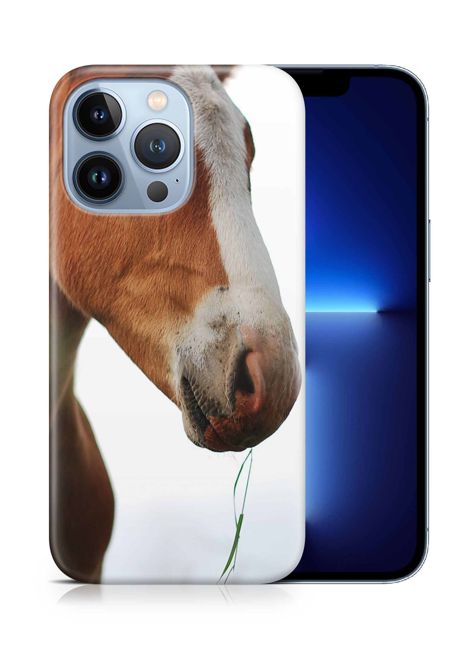 CASE COVER FOR APPLE IPHONE|MAJESTIC HORSE ANIMAL 17 - Bild 15 von 44