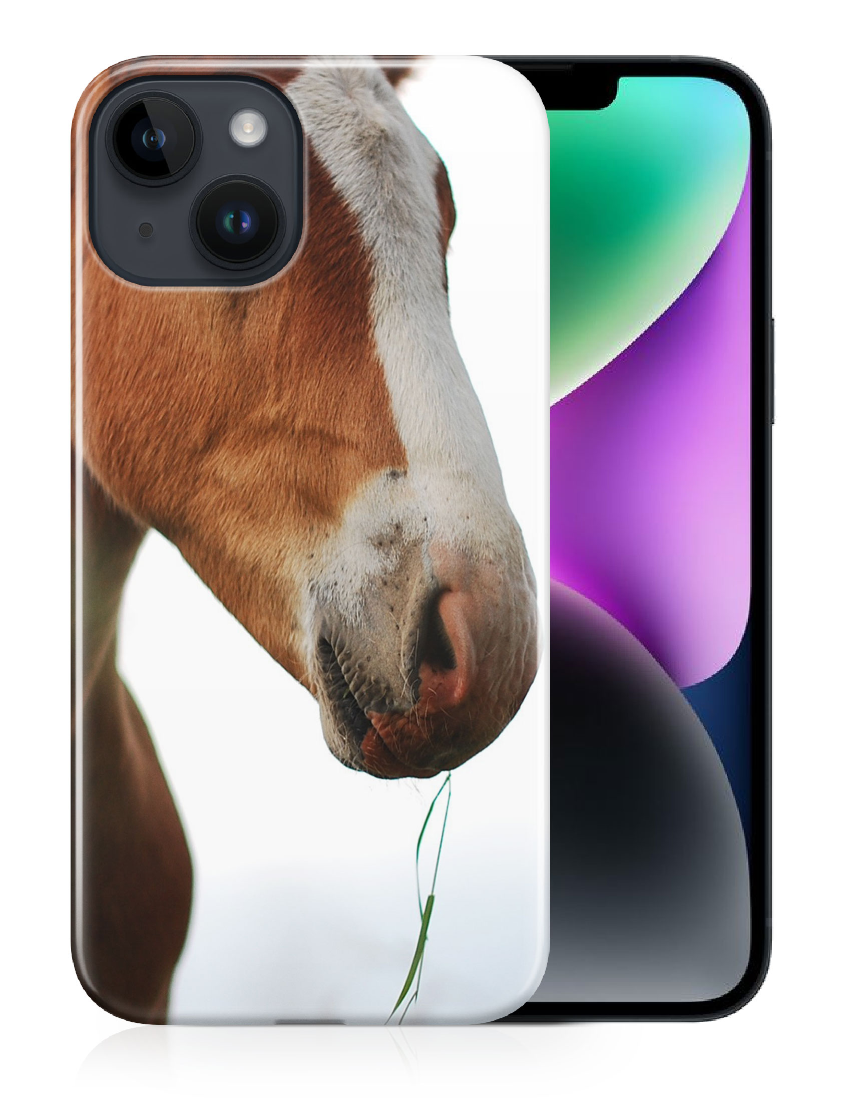 CASE COVER FOR APPLE IPHONE|MAJESTIC HORSE ANIMAL 17 - Bild 12 von 44