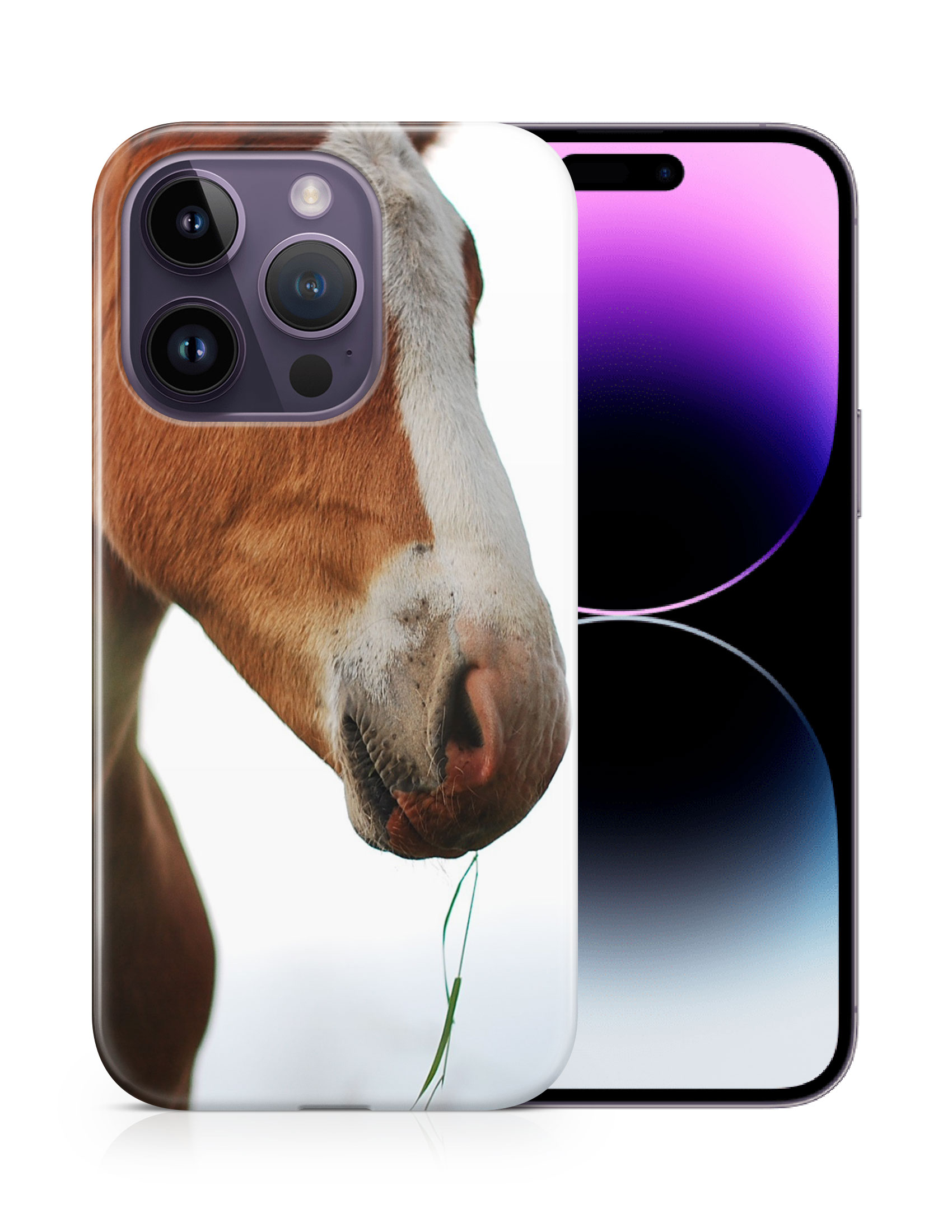 CASE COVER FOR APPLE IPHONE|MAJESTIC HORSE ANIMAL 17 - Bild 11 von 44