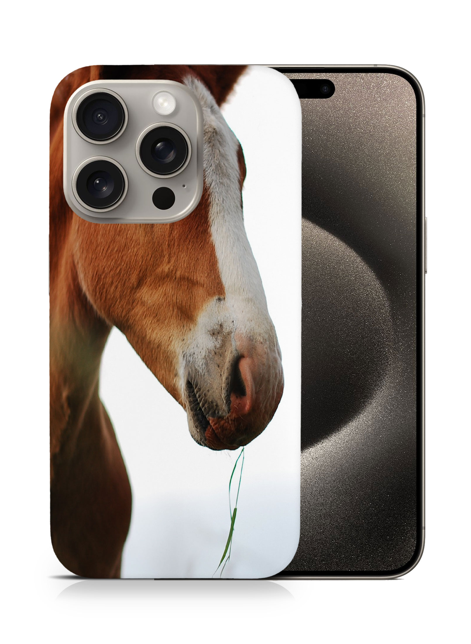 CASE COVER FOR APPLE IPHONE|MAJESTIC HORSE ANIMAL 17 - Bild 7 von 44