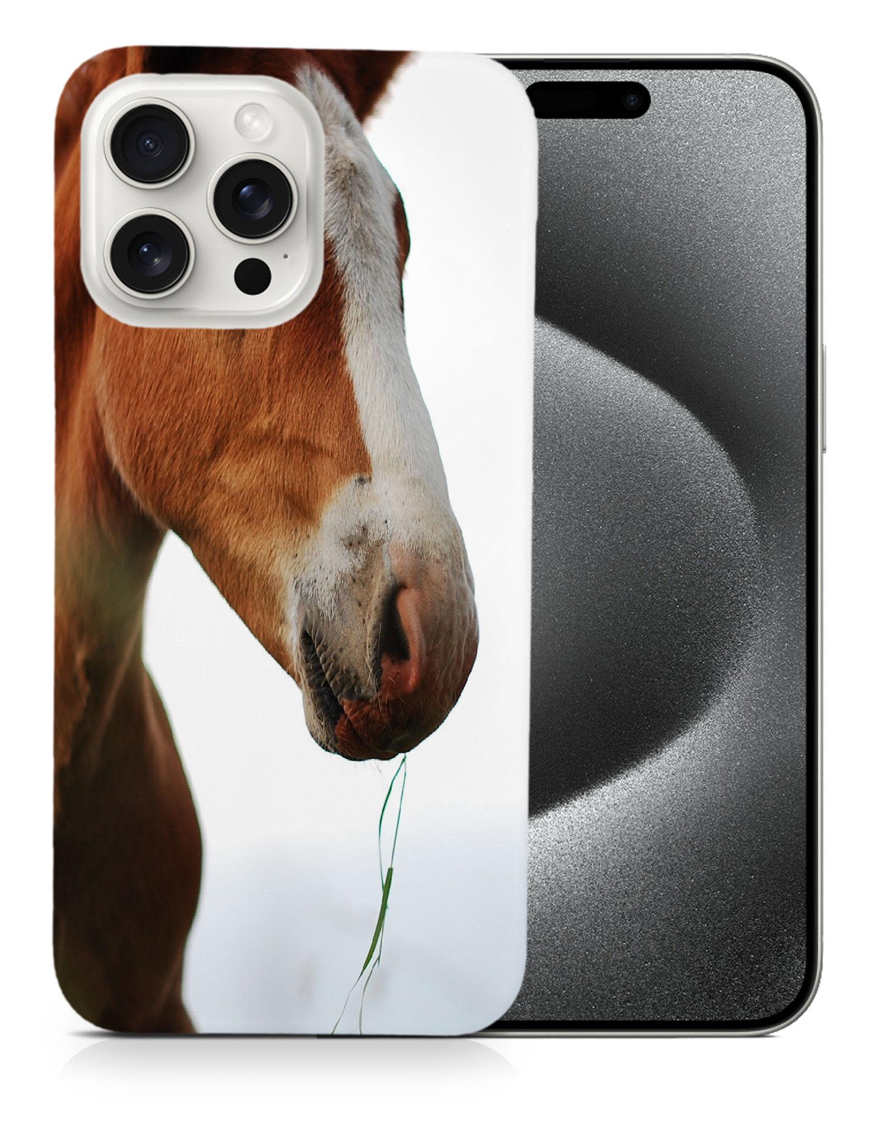 CASE COVER FOR APPLE IPHONE|MAJESTIC HORSE ANIMAL 17 - Bild 6 von 44