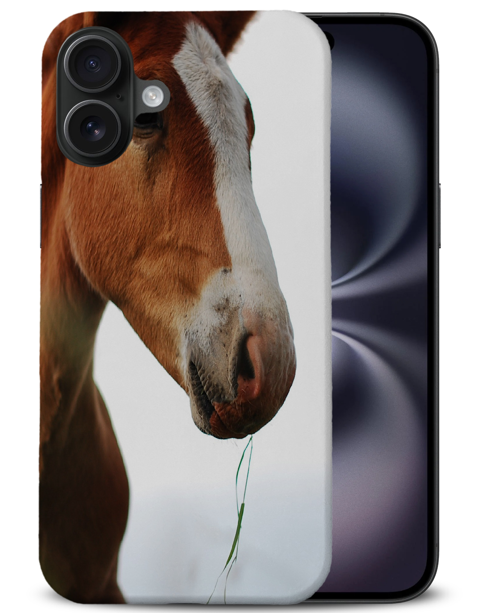 CASE COVER FOR APPLE IPHONE|MAJESTIC HORSE ANIMAL 17 - Bild 4 von 44
