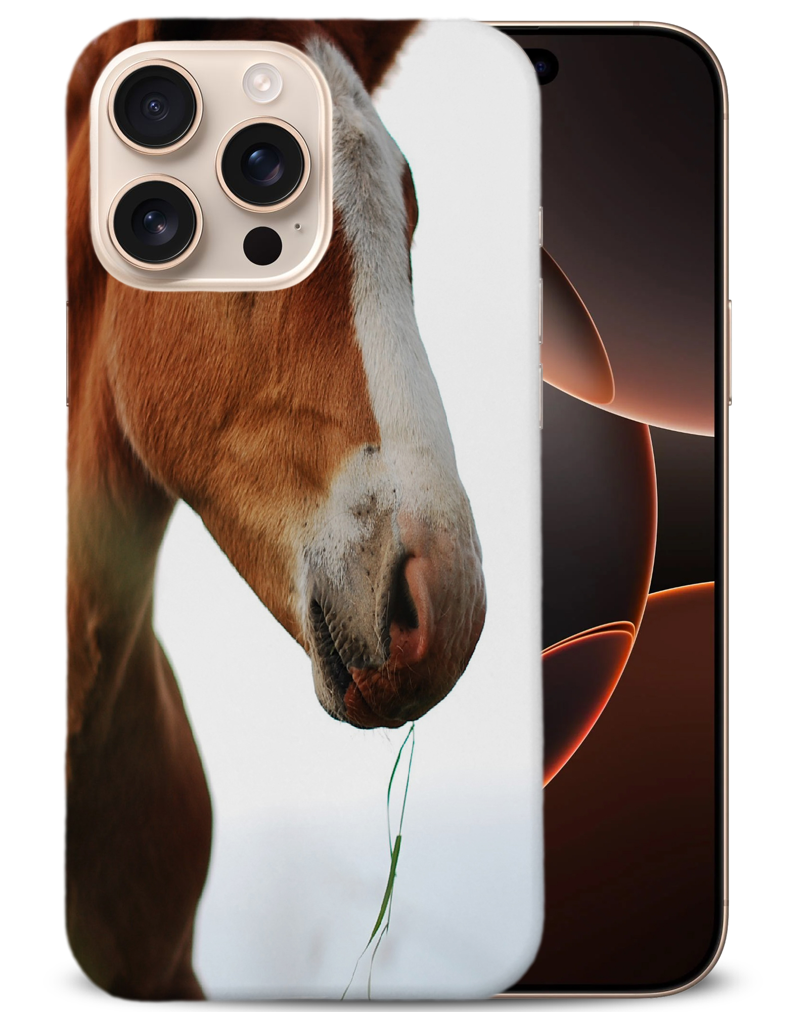 CASE COVER FOR APPLE IPHONE|MAJESTIC HORSE ANIMAL 17 - Bild 2 von 44