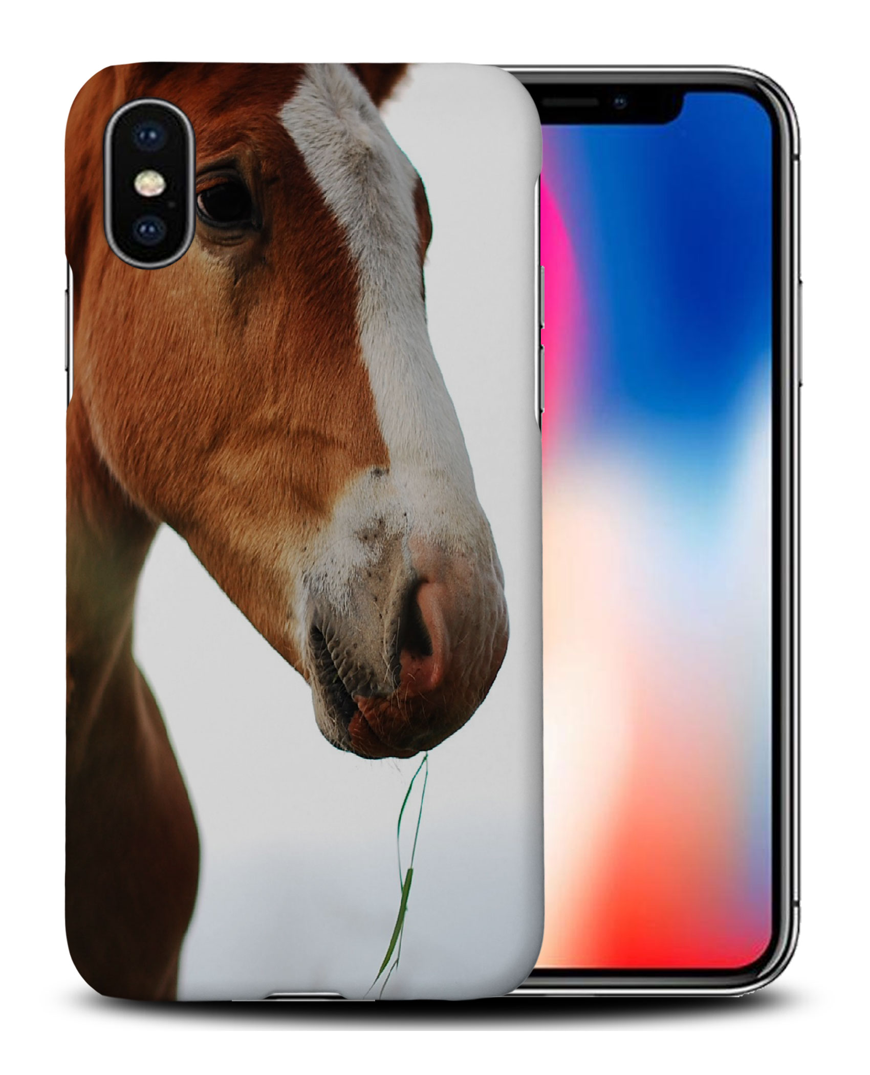 CASE COVER FOR APPLE IPHONE|MAJESTIC HORSE ANIMAL 17 - Bild 26 von 44