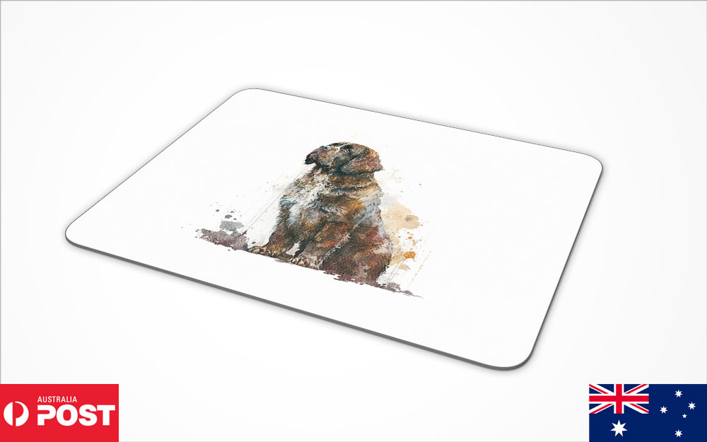 Afbeelding 16 van 28