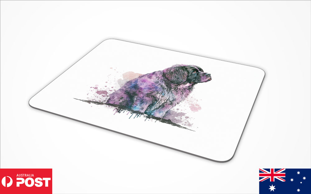 Afbeelding 28 van 28